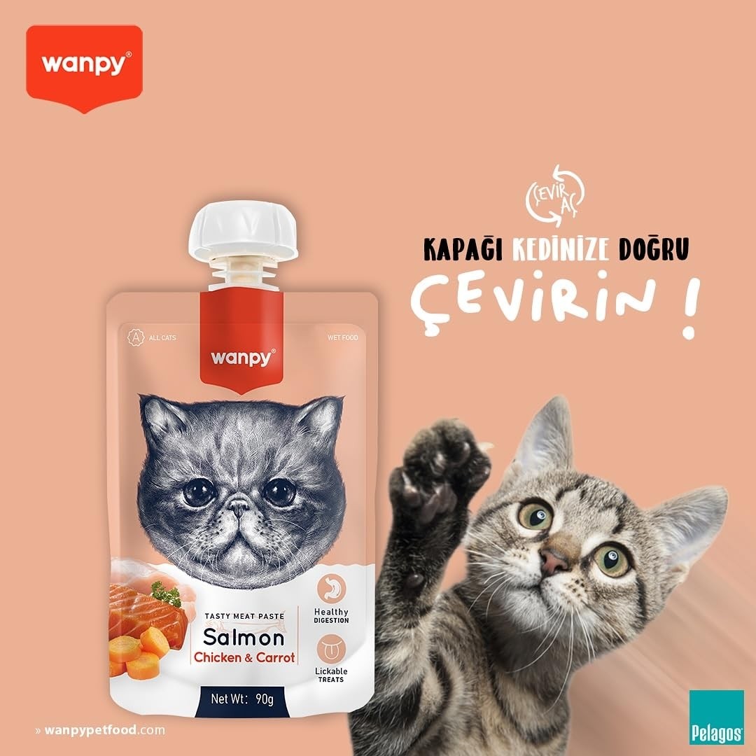Aesco Wanpy Taze Somonlu&tavuklu Kedi Et Ezmesi 90 gr Tekli görsel 3