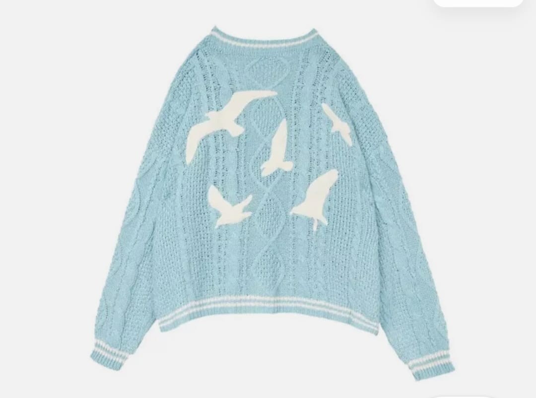 Shein Mavi 1989 (Taylor's Version) Cardigan Oversize Hırka ,Oversize Taylor Swift Hırka , bebe -Uçuk Mavi Oversize Kadın Hırka görsel 3