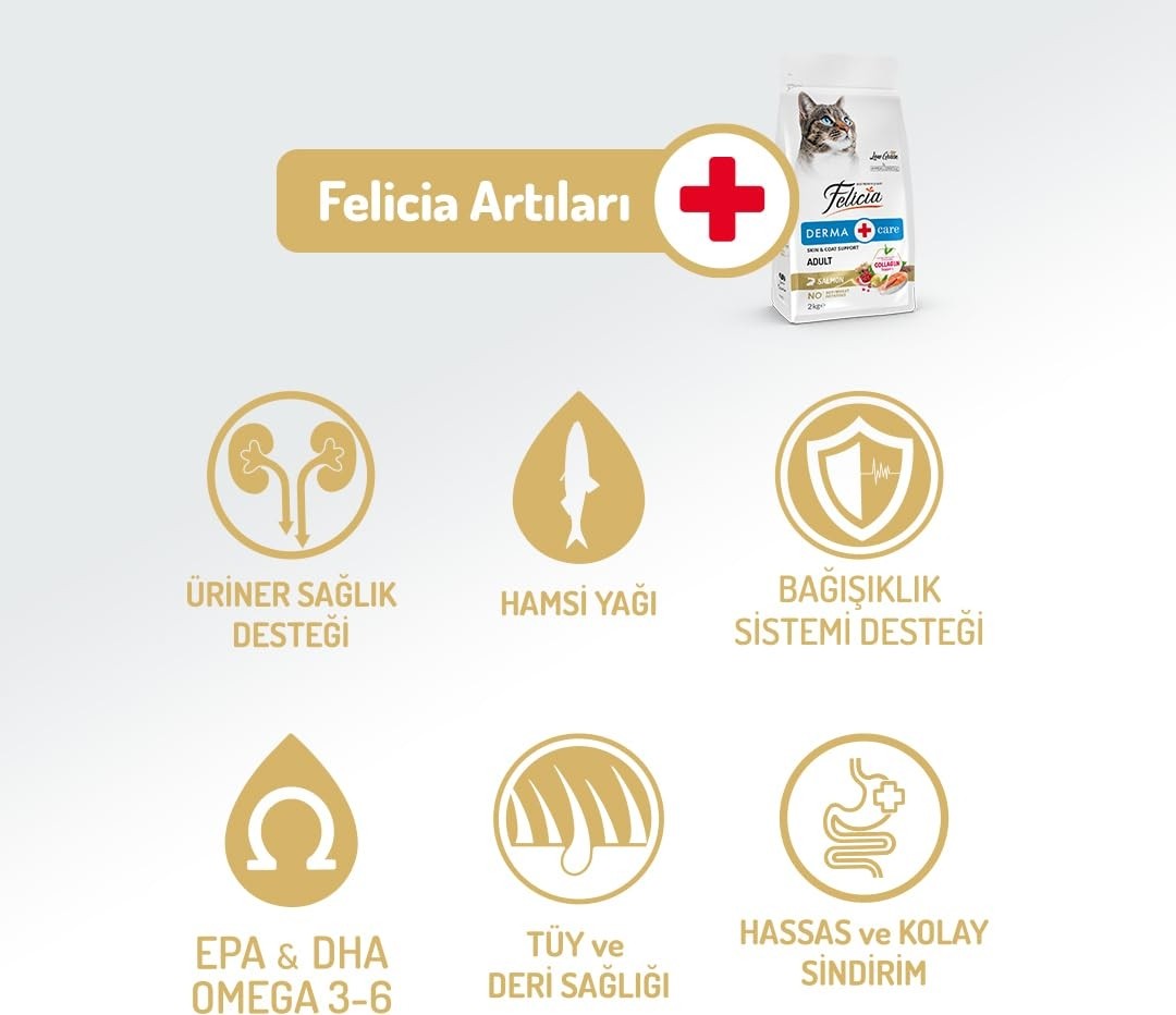 Aesco Felicia 5 kg Kolajenli Somonlu Az Tahıllı Yetişkin Kedi Maması Hypoallergenic Kedi Maması görsel 2