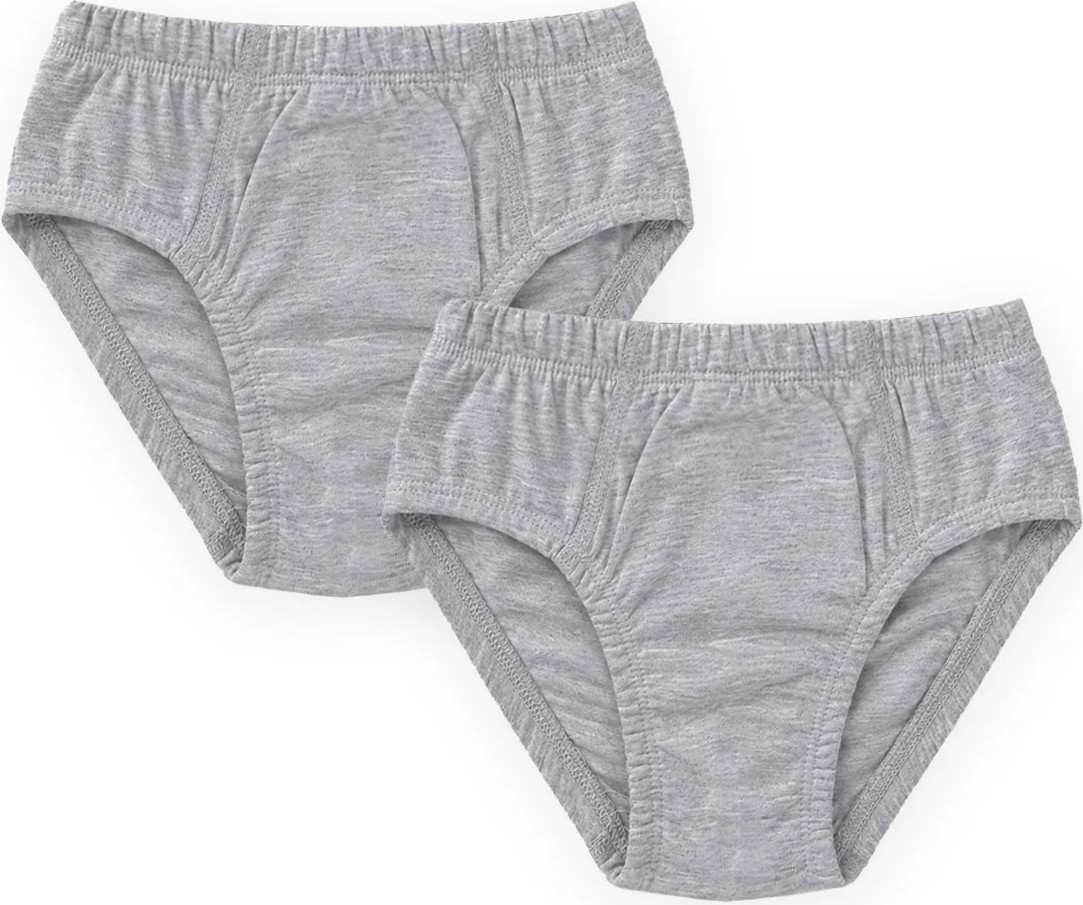 Cigit Ikili Slip Külot 2-11 Yaş Gri