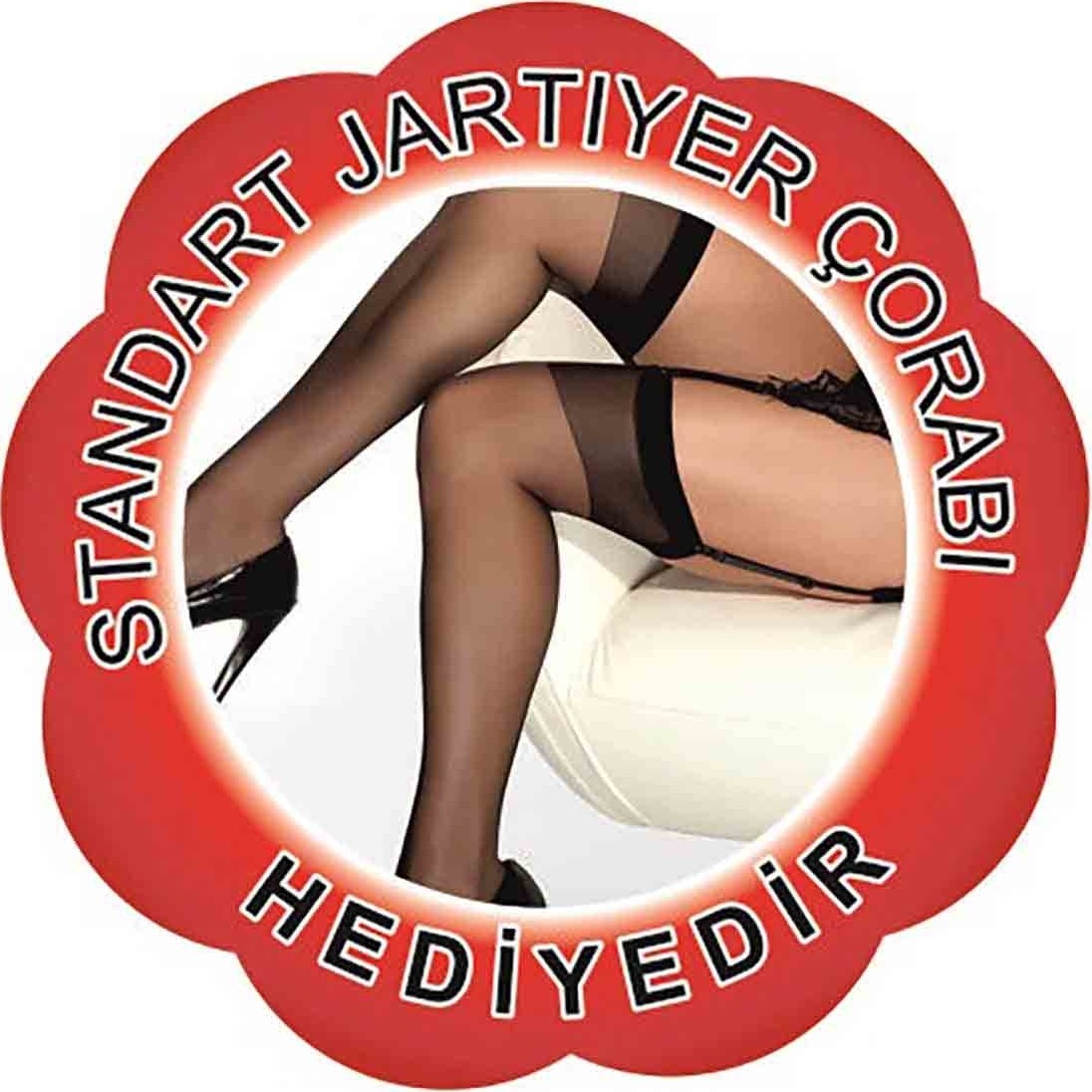 Merry See Sexy Jartiyerli Liseli Kız Kostümü görsel 5