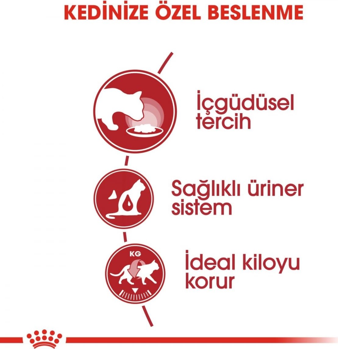 Die Grup Royal Canin Instinctive Gravy Pouch Yaş Kedi Maması 85 gr x 12 Adet görsel 5