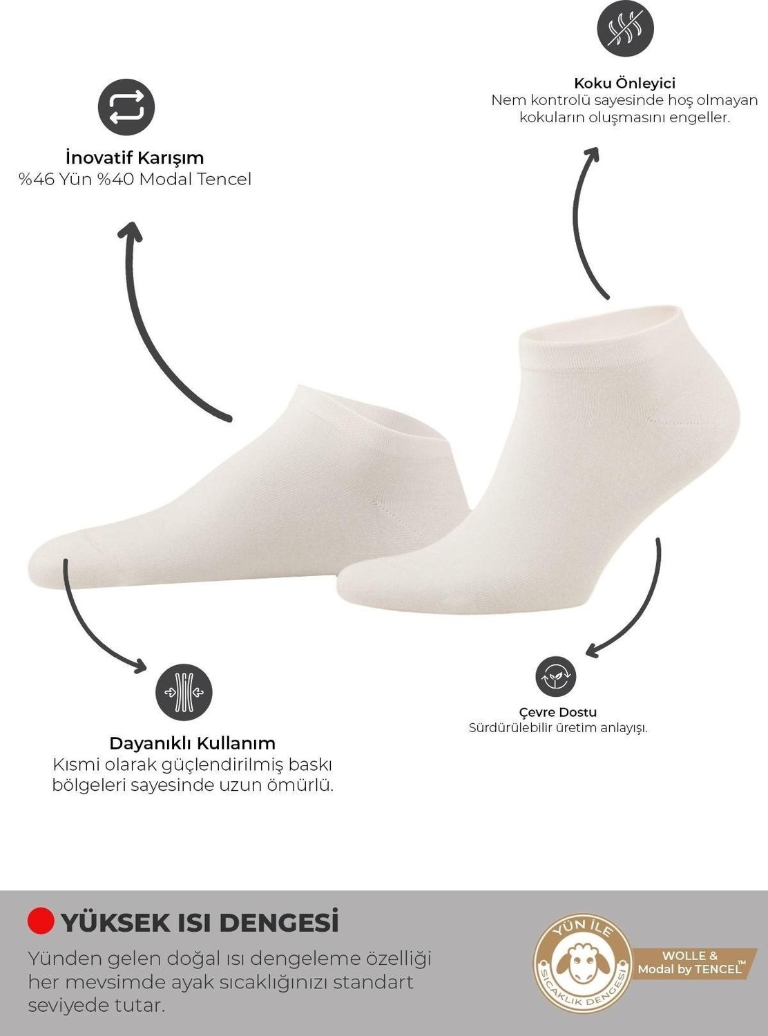 Mısırlı Unisex Yün & Lyocell By Tencel Karışımlı 6 Çift Patik Çorap Ekru görsel 5