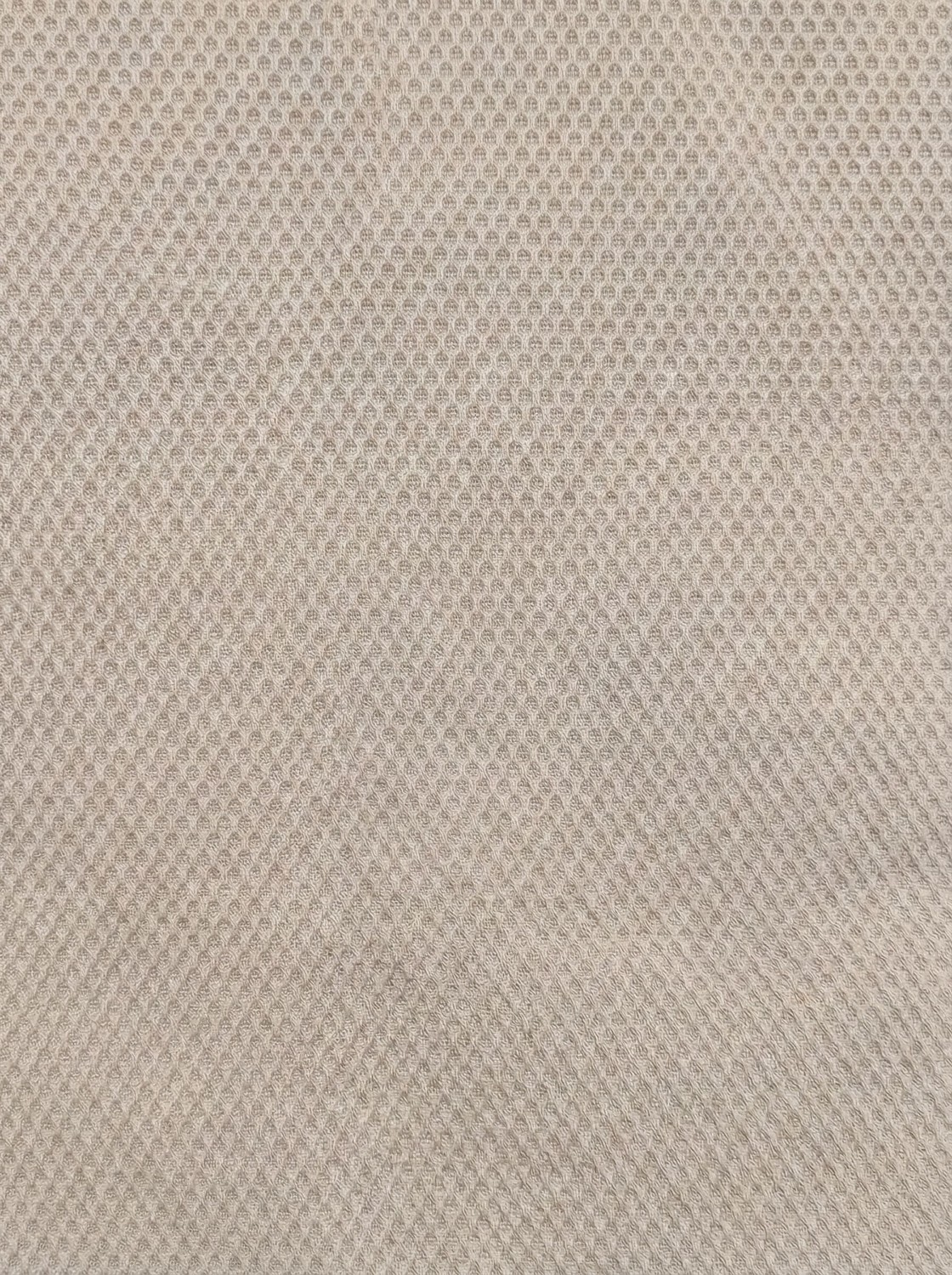 Loft Regular Fit Erkek Şort görsel 6