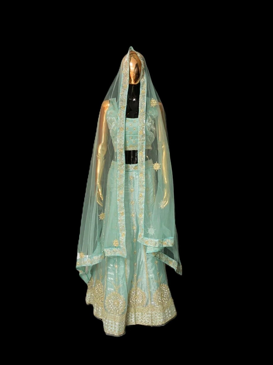 Aashiv's Collection Lehenga