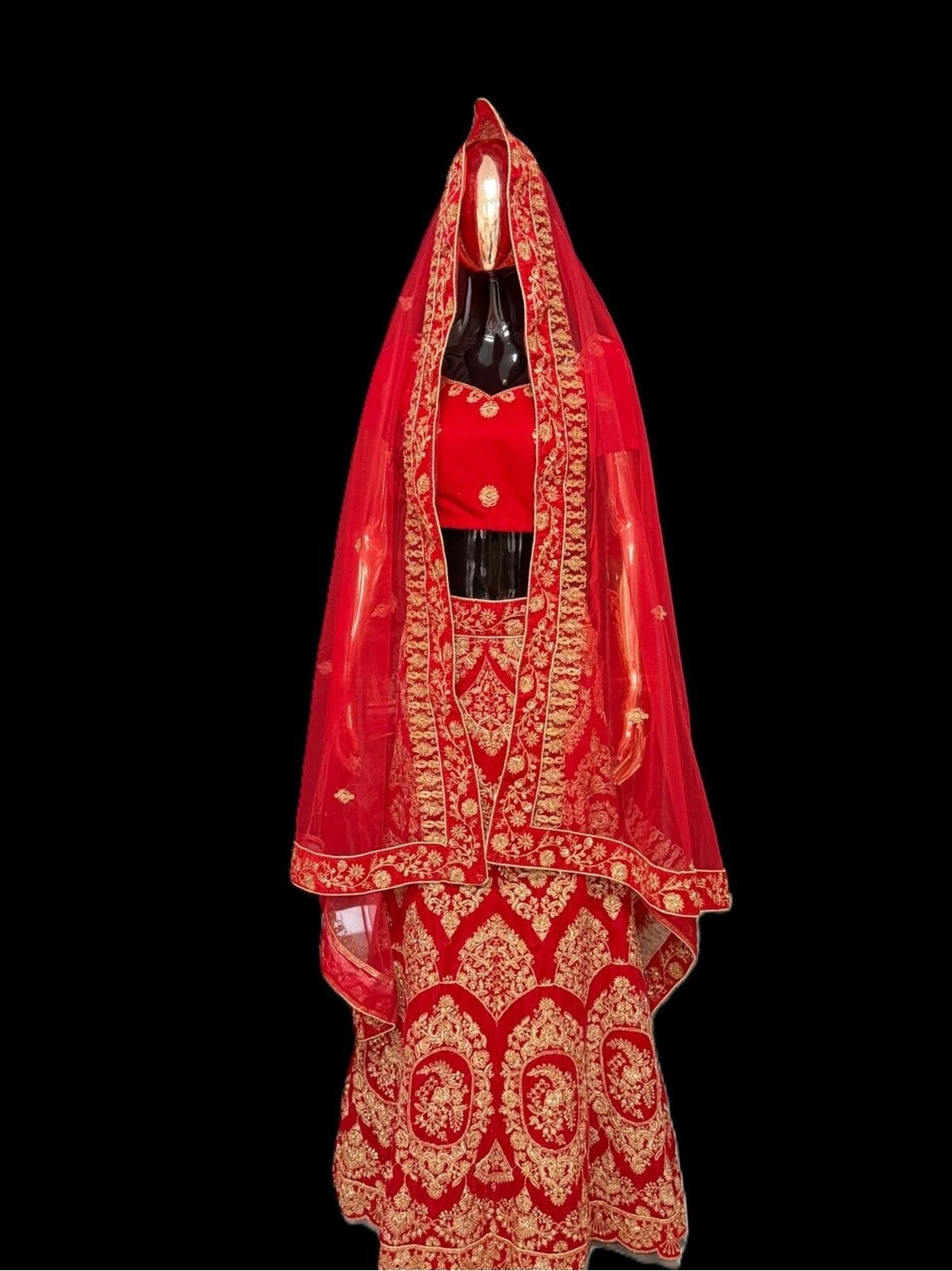 Aashiv's Collection Lehenga