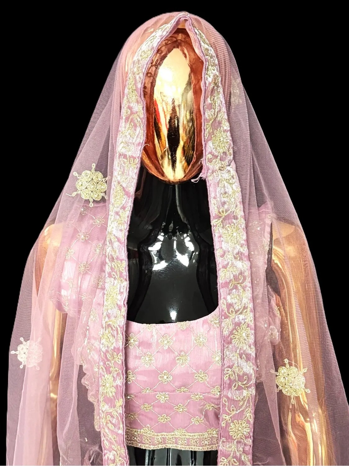 Aashiv's Collection Lehenga