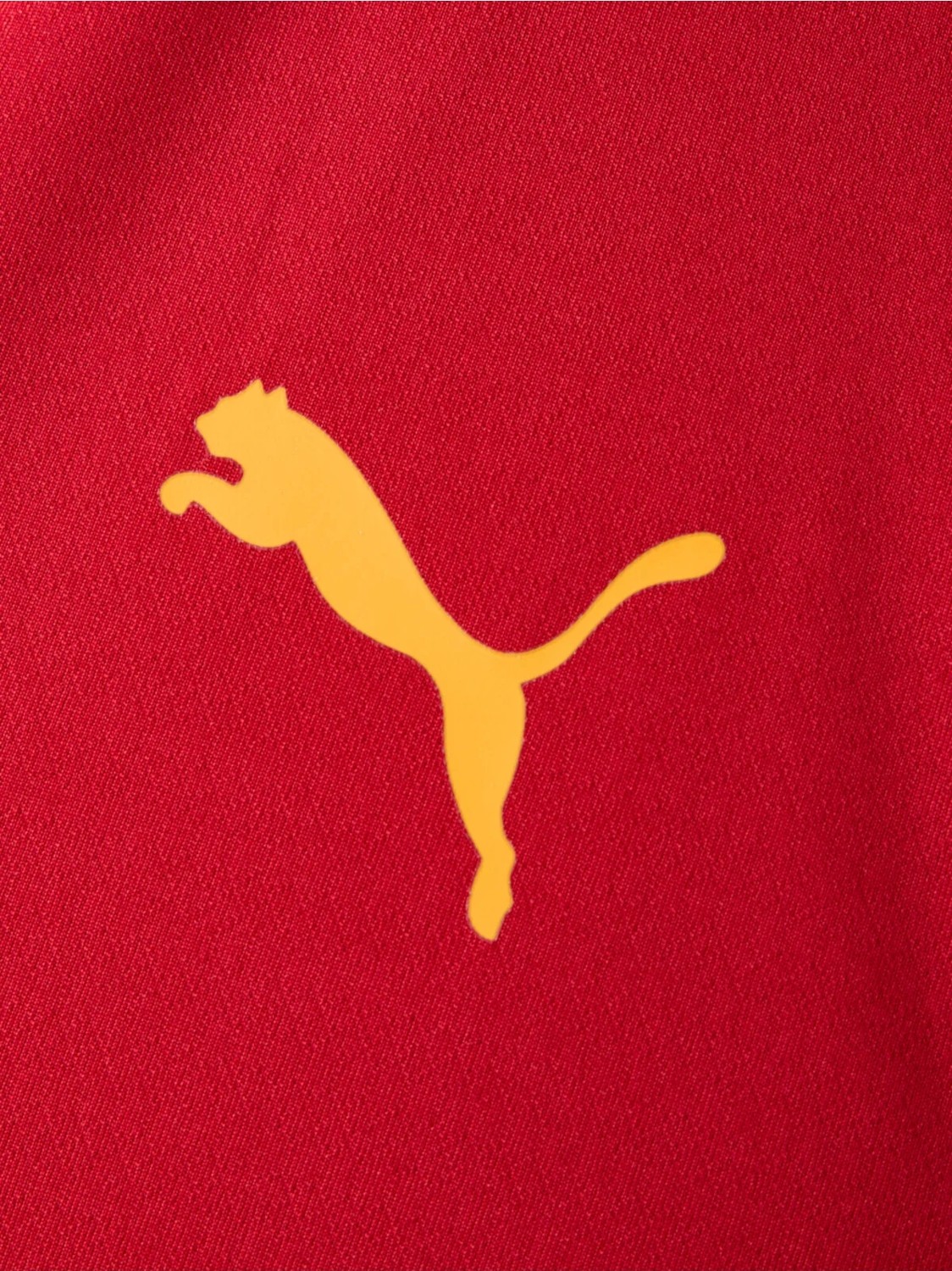 GS Galatasaray Puma Antrenman Ceket 78680901 görsel 4