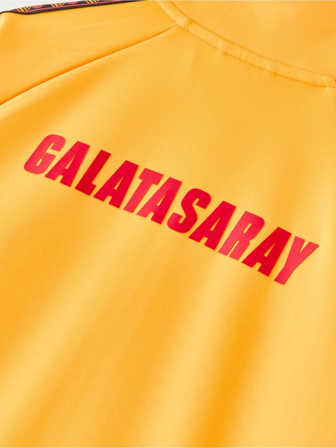 GS Galatasaray Puma Ceket 78685307 görsel 5