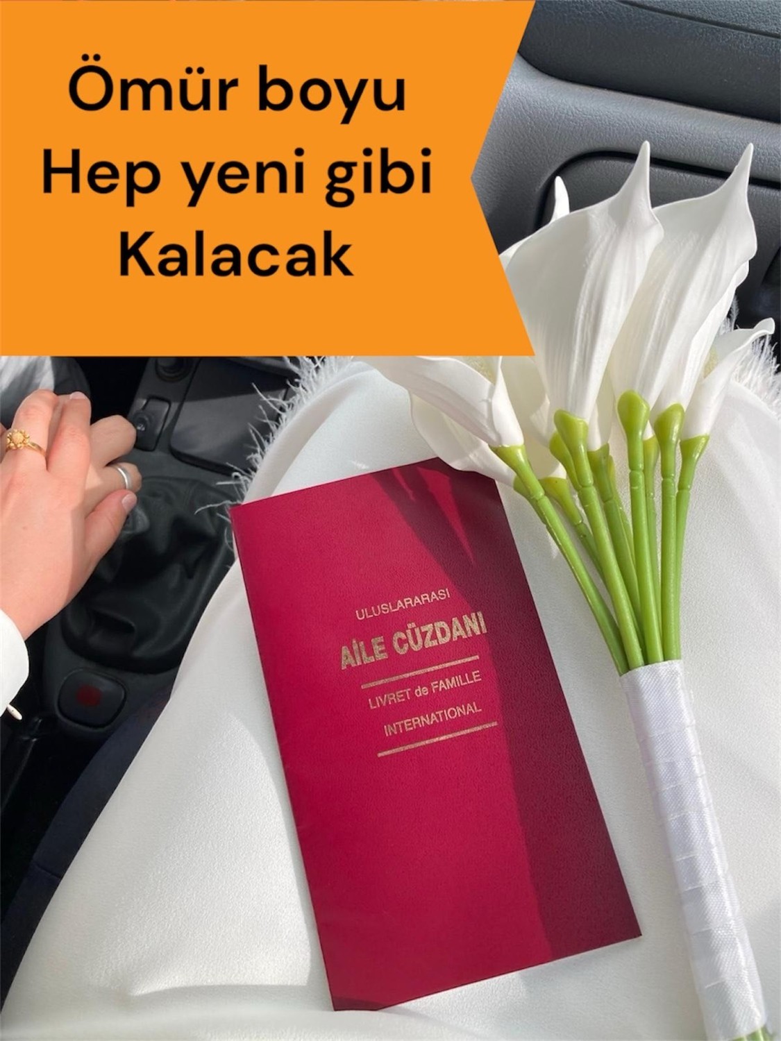 Gempo Şeffaf Uluslararası Aile Cüzdanı Kılıfı, Dayanıklı ve Koruyucu Evlinderme Cüzdanı Kılıfı görsel 2