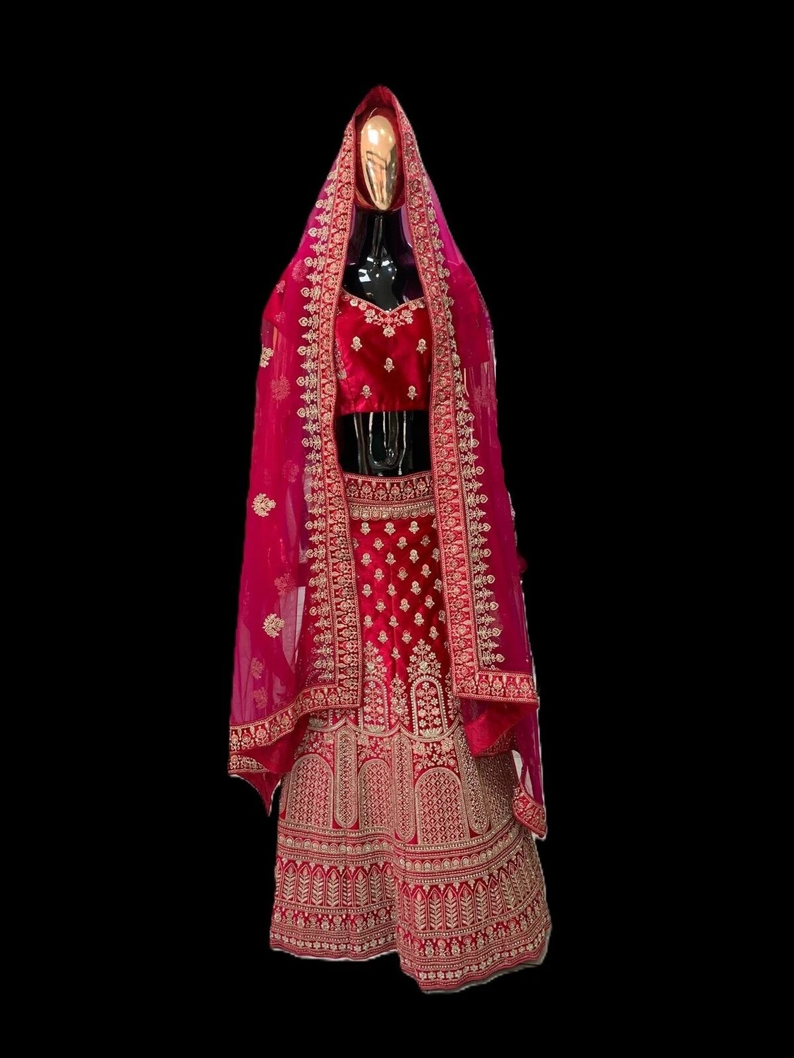 Aashiv's Collection Lehenga