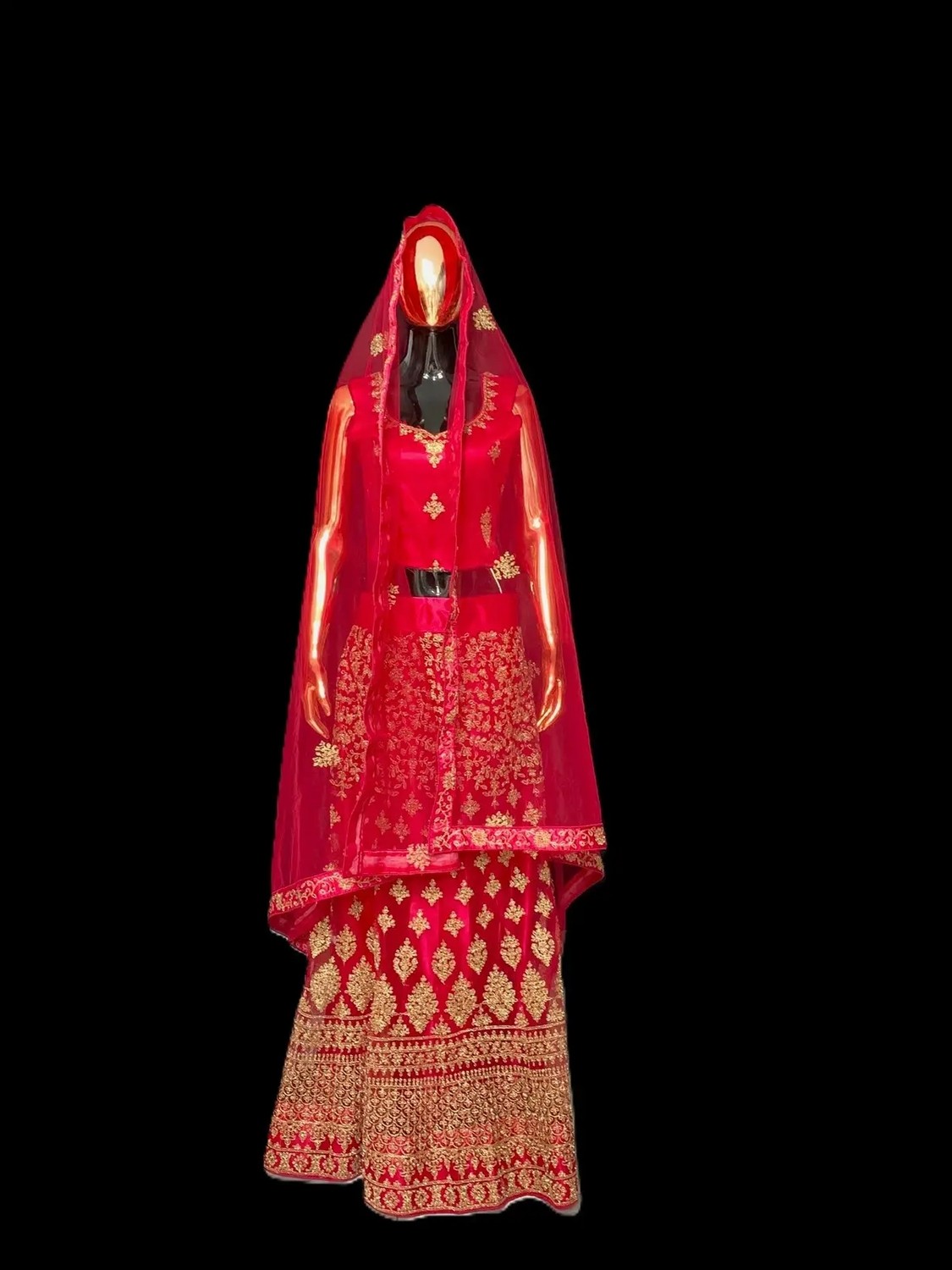 Aashiv's Collection Lehenga