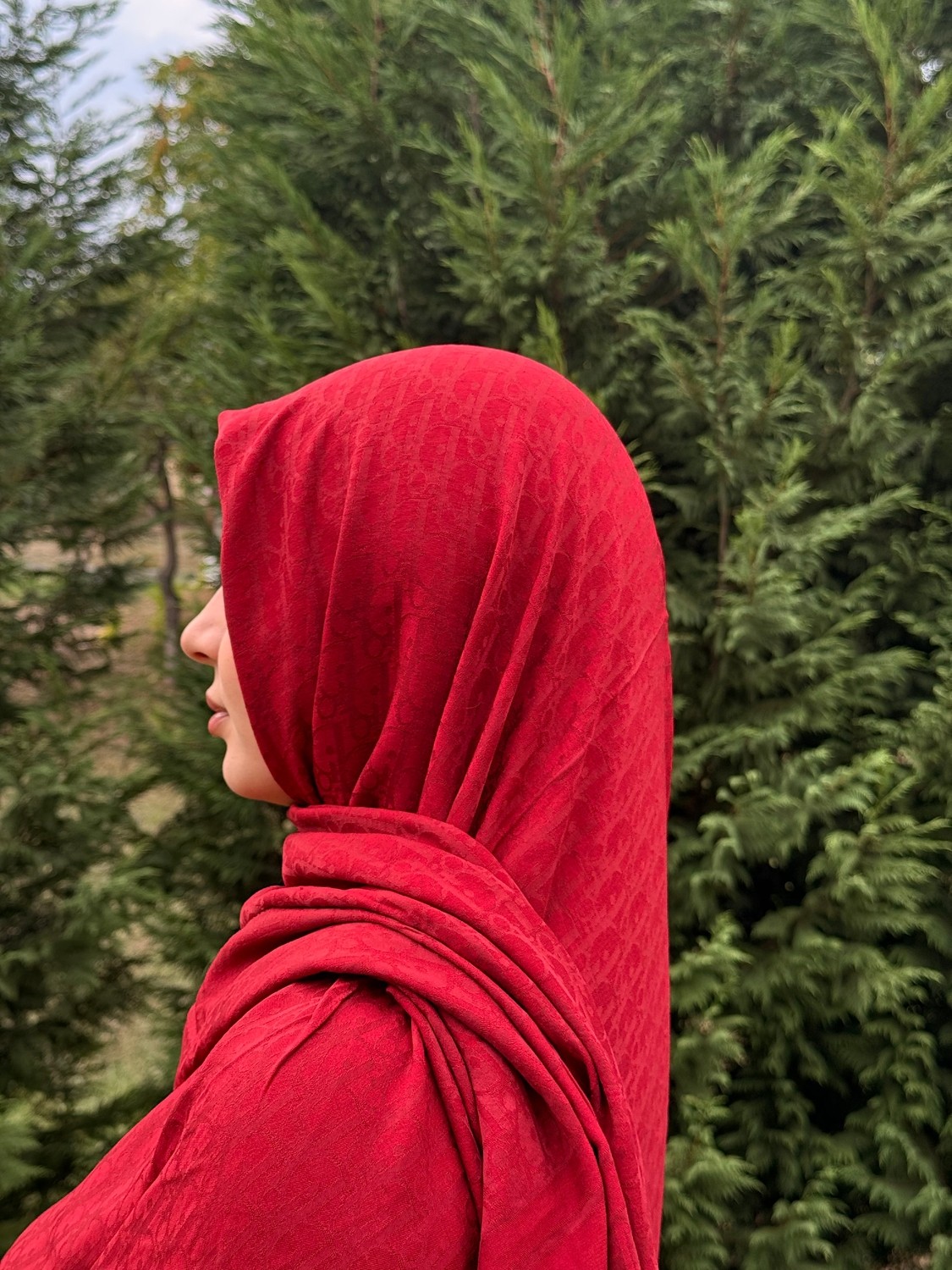 Silk Fresh Vişne Çürüğü G Desen Eşarp görsel 3