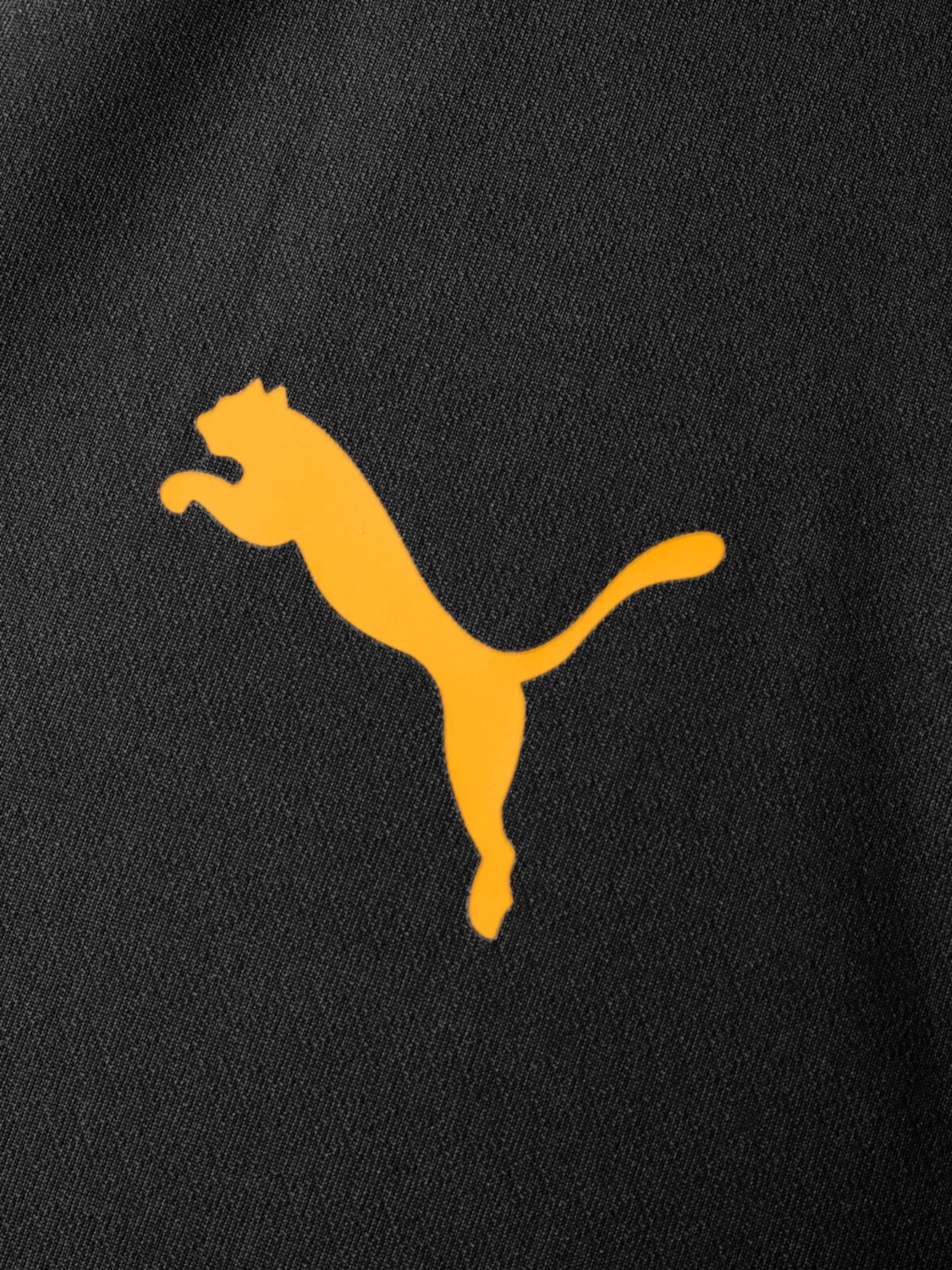 GS Galatasaray Puma Antrenman Ceket 78680903 görsel 3