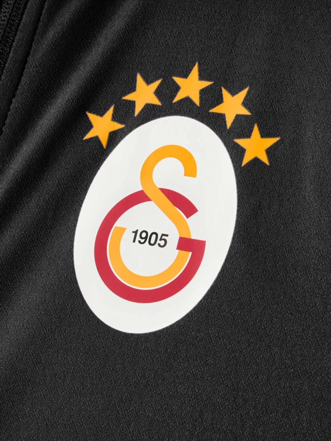 GS Galatasaray Puma Antrenman Ceket 78680903 görsel 4