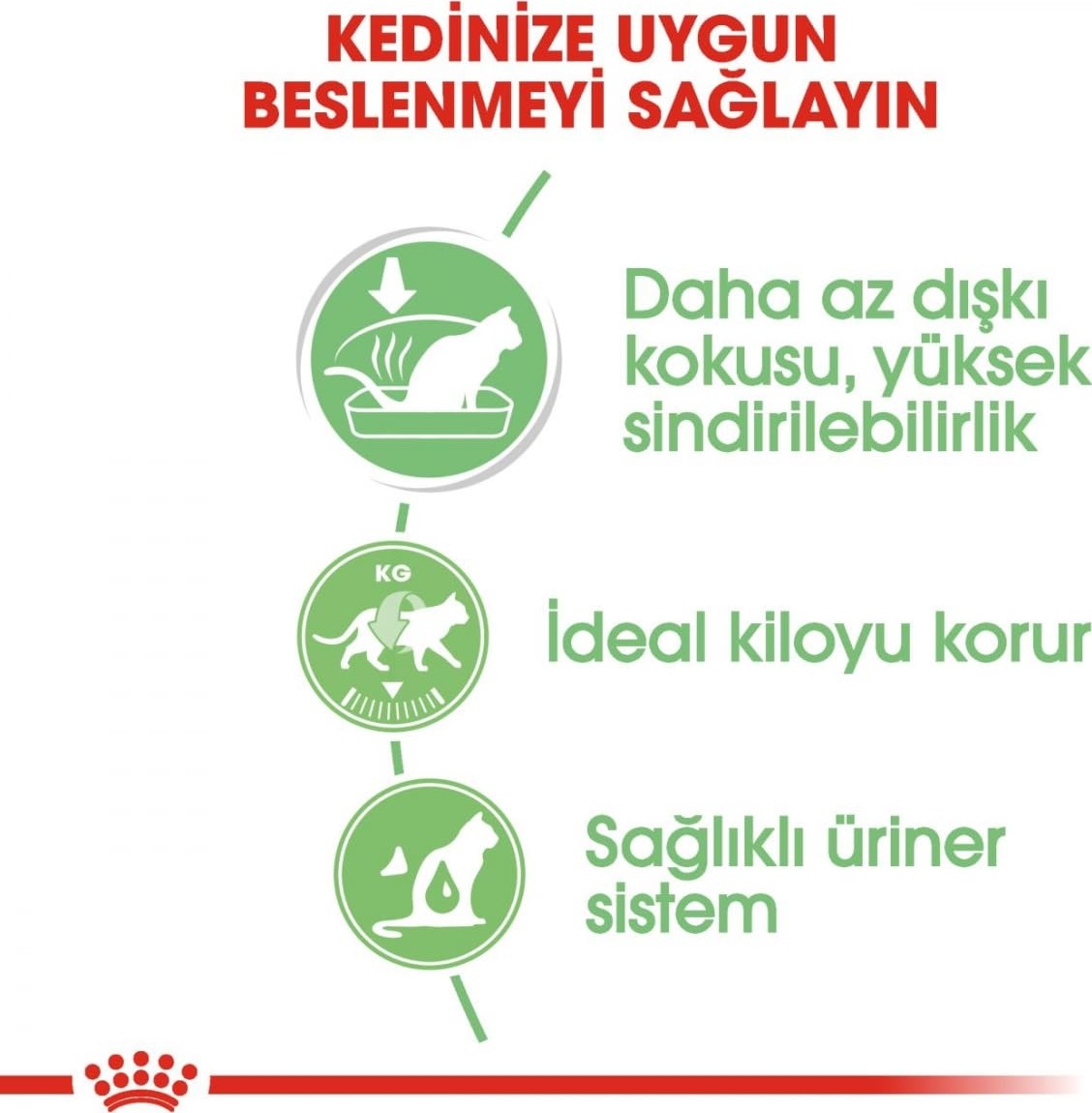 Die Grup Royal Canin Dıgest Sensıtıve Kedi Yaş Mama 12X85GR görsel 5
