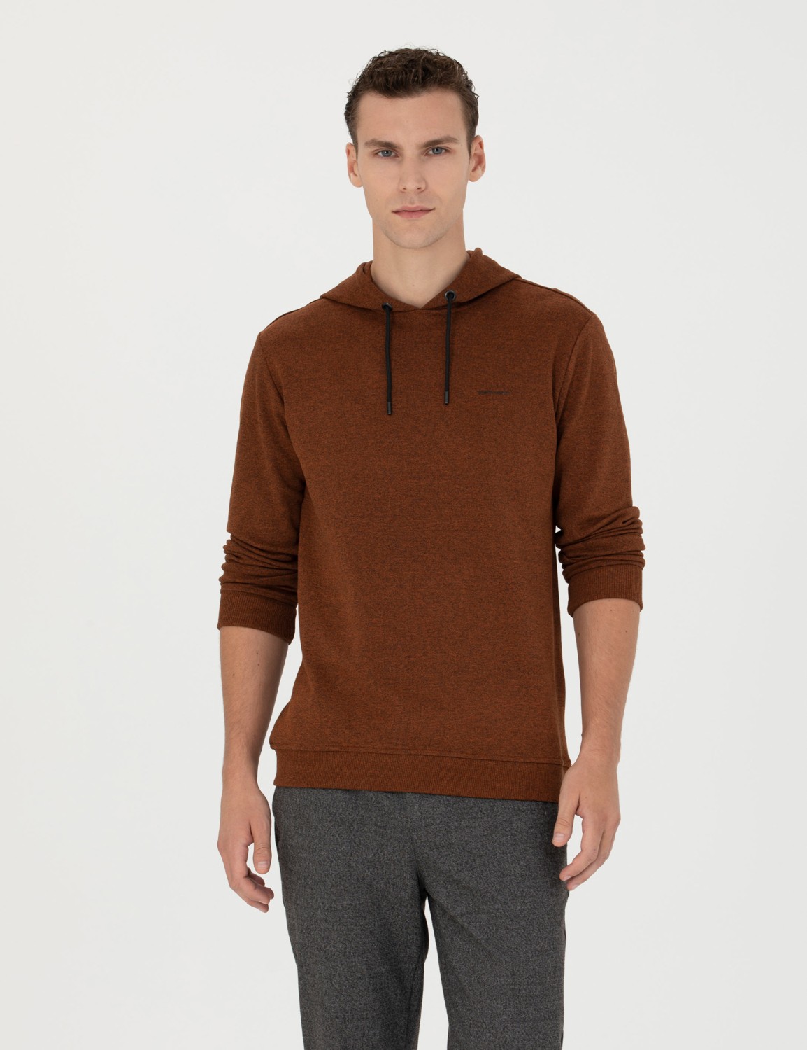 Pierre Cardin Erkek Kiremit Regular Fit Kapüşonlu Sweatshirt 50273895-VR031 görsel 3