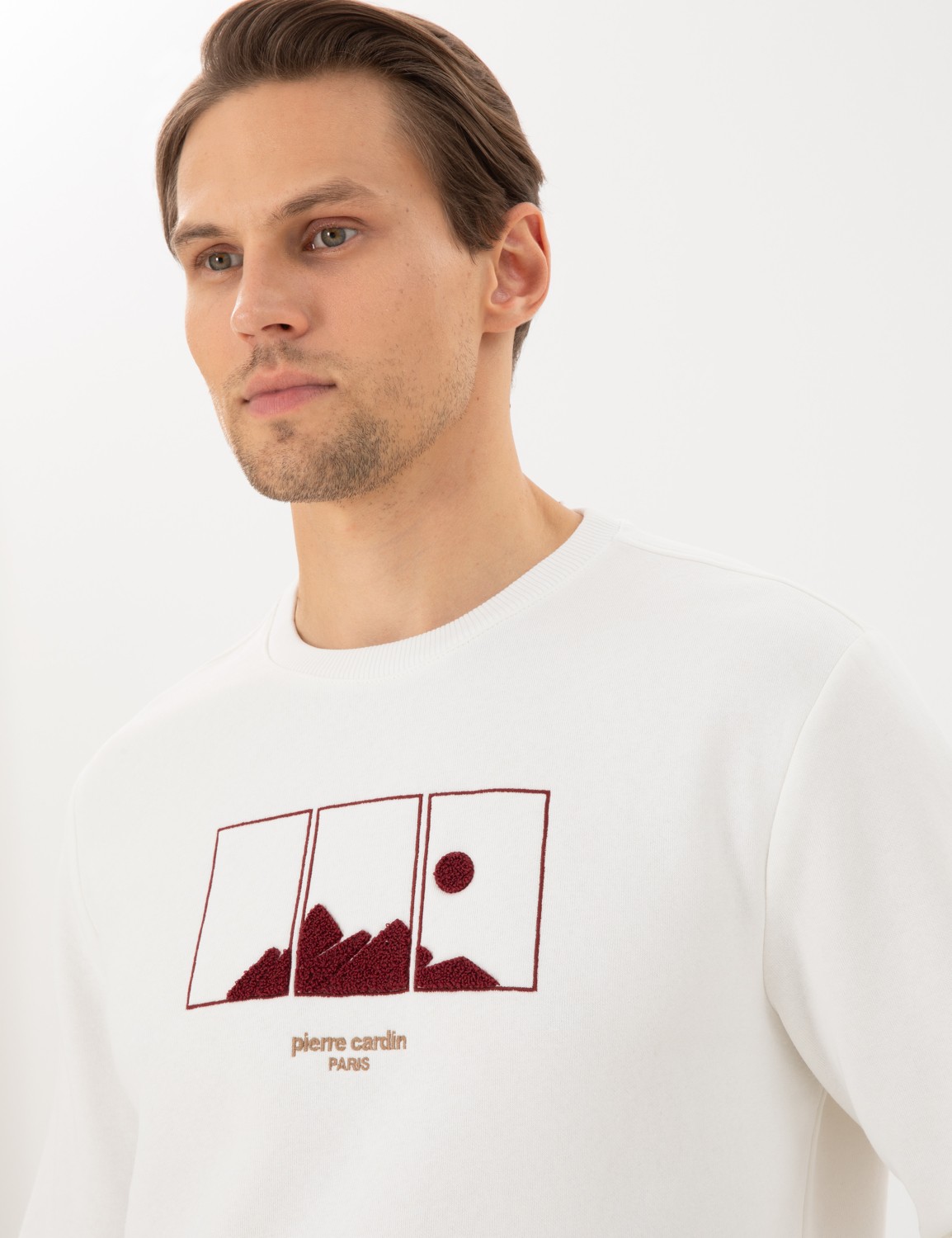 Pierre Cardin Erkek Yeşil Regular Fit Sweatshirt 50290703-VR054 görsel 2