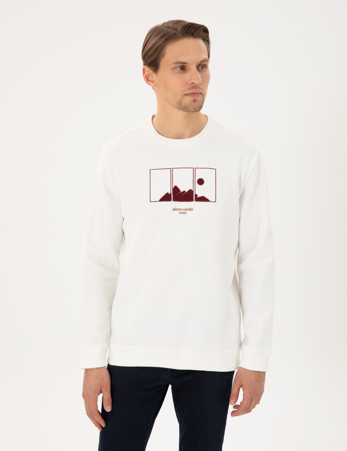 Pierre Cardin Erkek Yeşil Regular Fit Sweatshirt 50290703-VR054 görsel 3