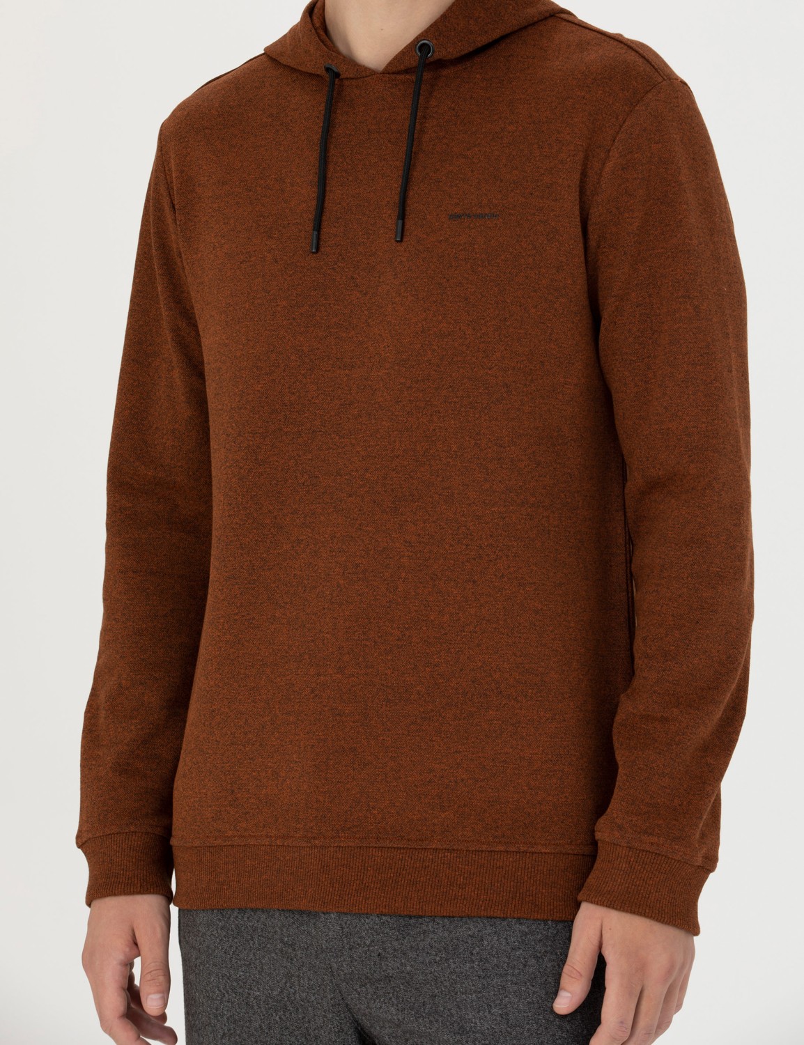 Pierre Cardin Erkek Kiremit Regular Fit Kapüşonlu Sweatshirt 50273895-VR031 görsel 6