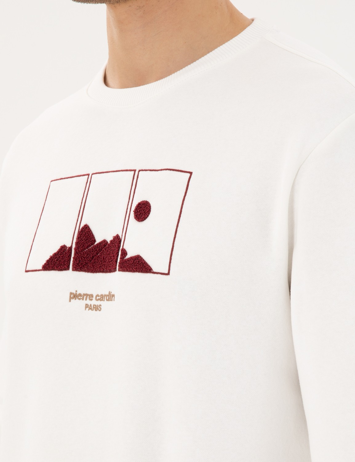 Pierre Cardin Erkek Yeşil Regular Fit Sweatshirt 50290703-VR054 görsel 7
