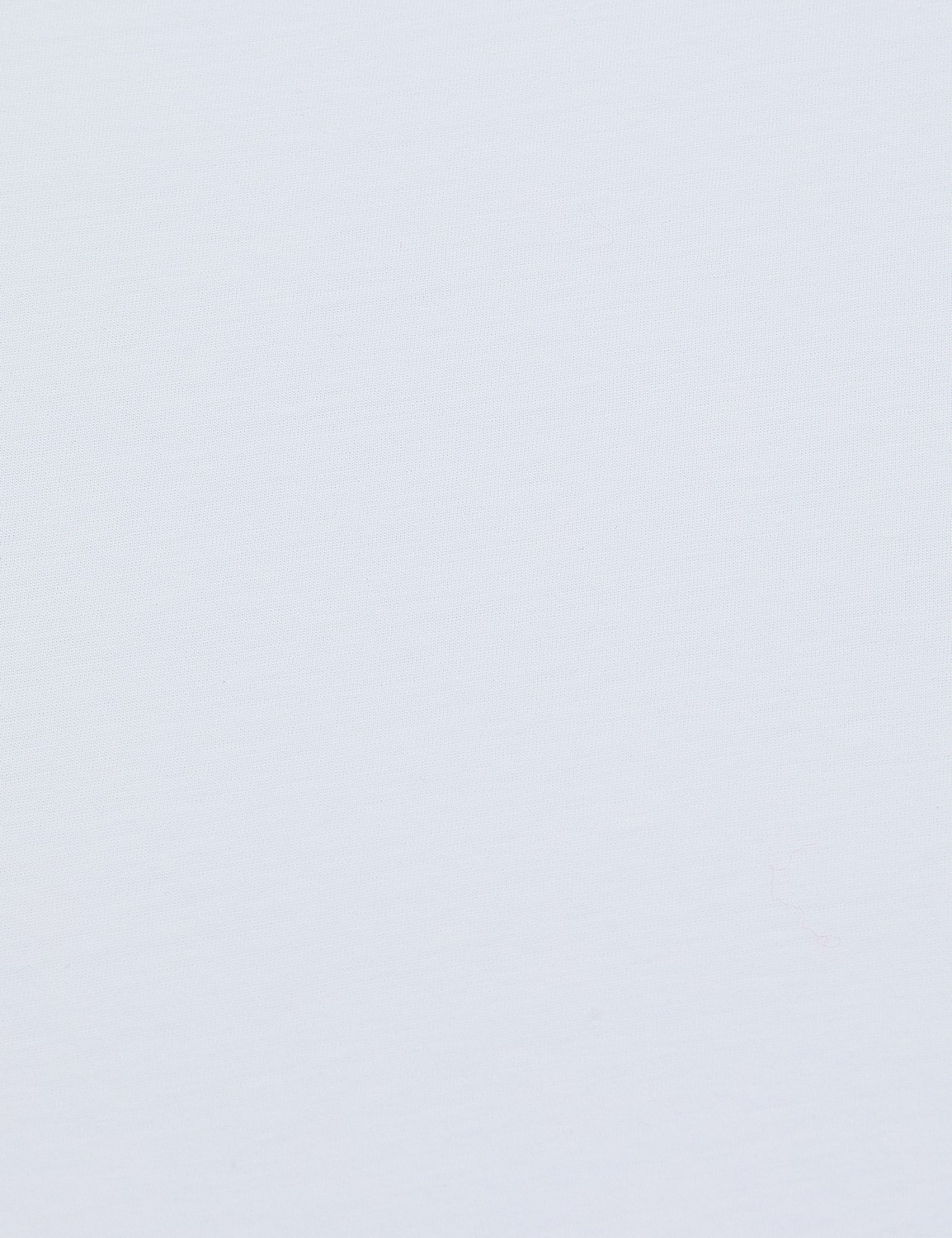 Pierre Cardin Kadın Beyaz Regular Fit Basic Tişört 50325454-VR013 görsel 7