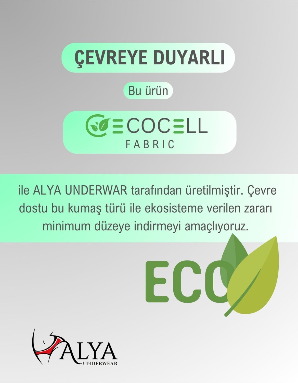 Alya Underwear Kadın Külot, Lyocell Kumaş Külot, Yumuşak ve Dayanıklı Kadın Iç Çamaşırı, Liyosel ( P02, 2xl ) görsel 7