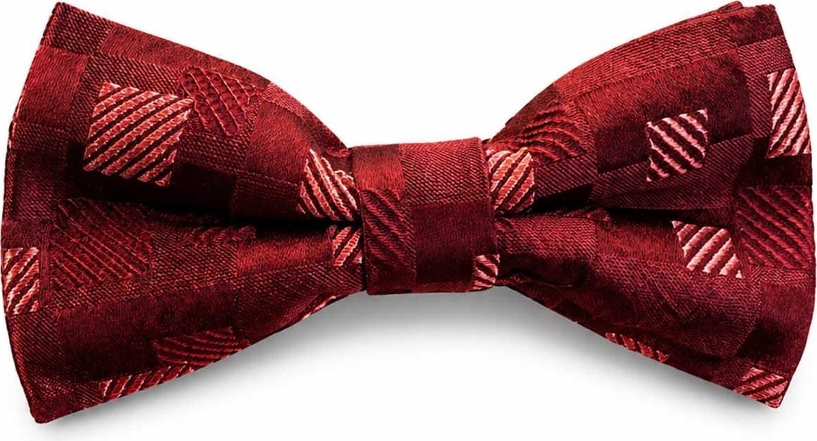 Kravatkolik Bordo Kare Ipek Papyon SB211 görsel 4