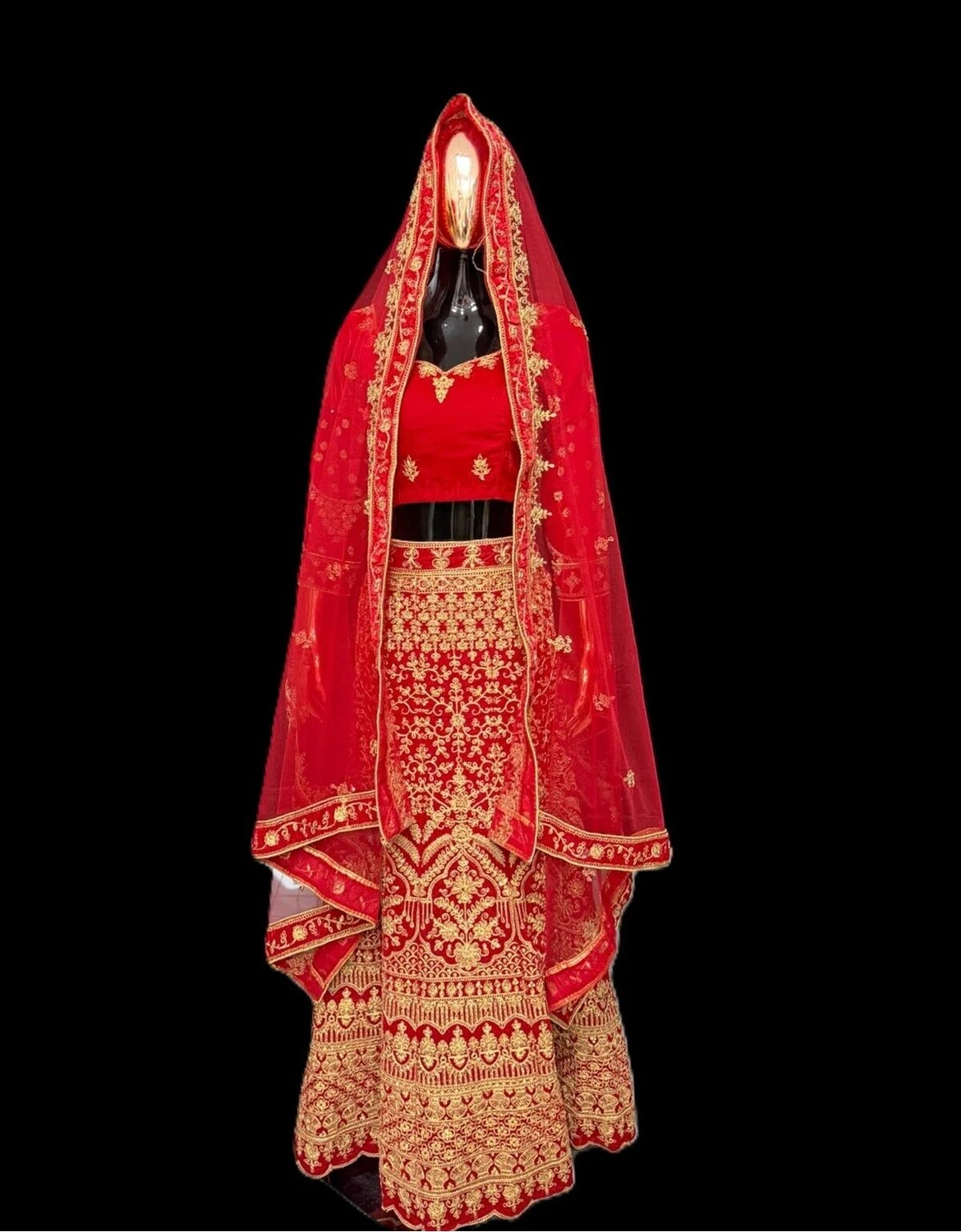 Aashiv's Collection Lehenga
