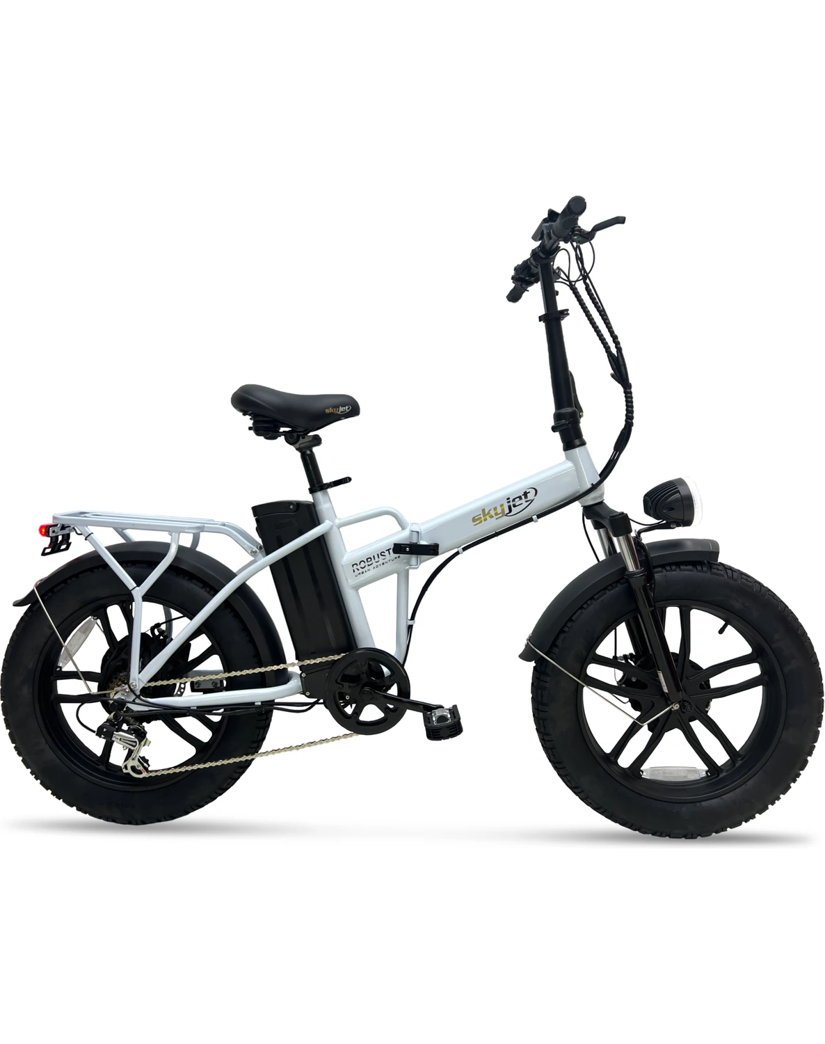 Resim Robusto Premıum Elektrikli Bisiklet - 750W 