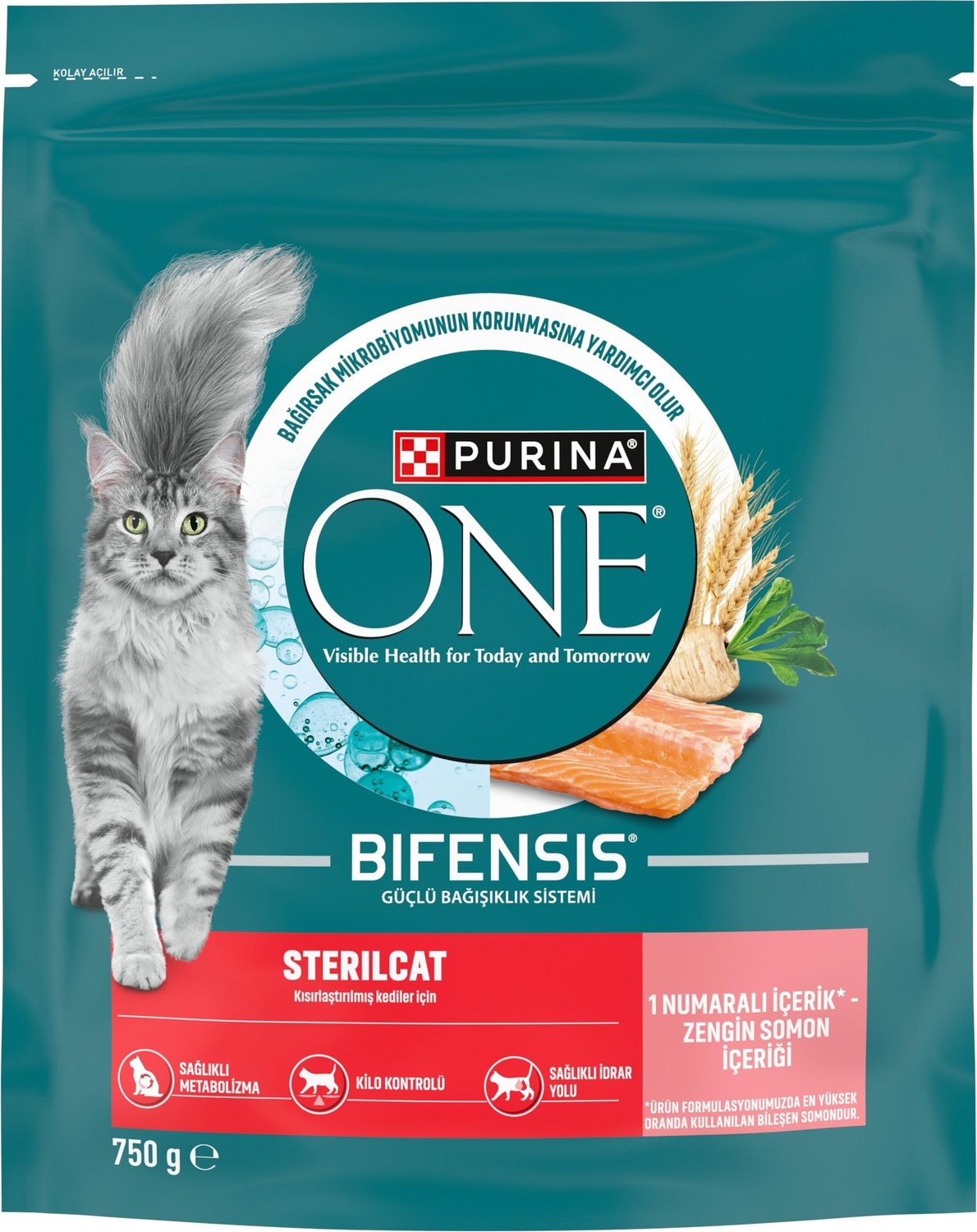 Die Grup Purina One Sterilcat Somonlu Kısırlaştırılmış Kuru Kedi Maması 750G