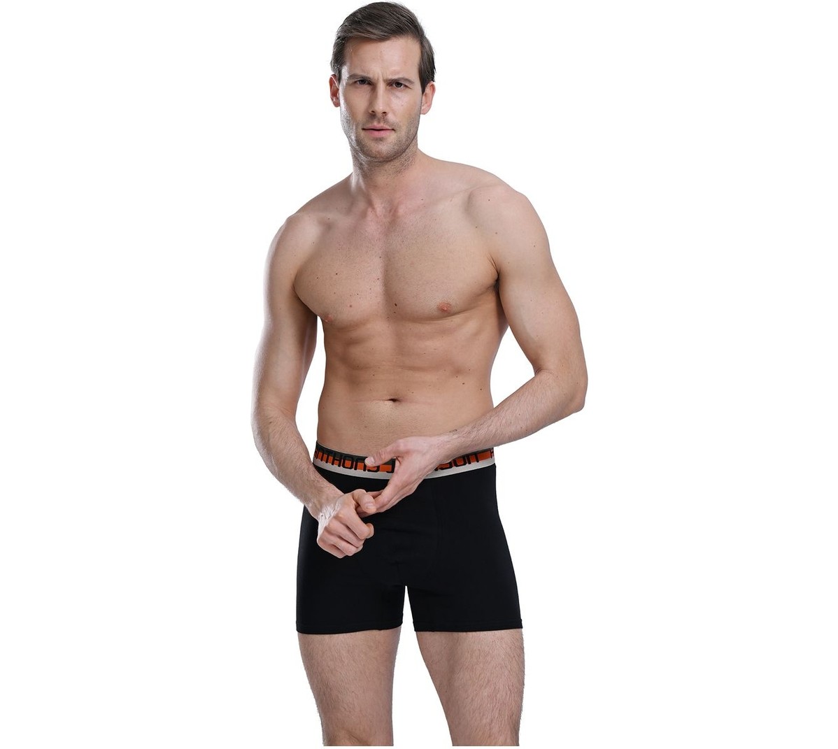 Anthony Jackson Likralı 6'lı Kutu Premium Erkek Boxer Boss görsel 2