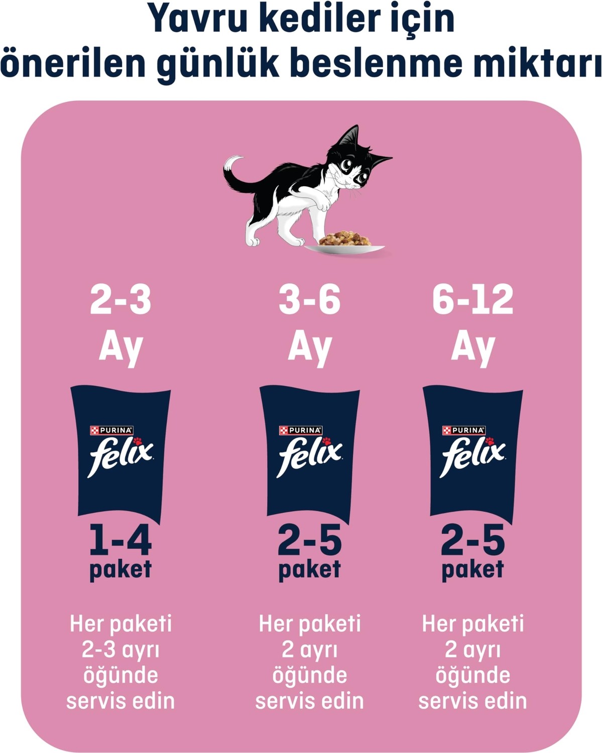 Aesco Felix Yavru Kedi Avantajlı Paket (12X4= 85GR) görsel 5