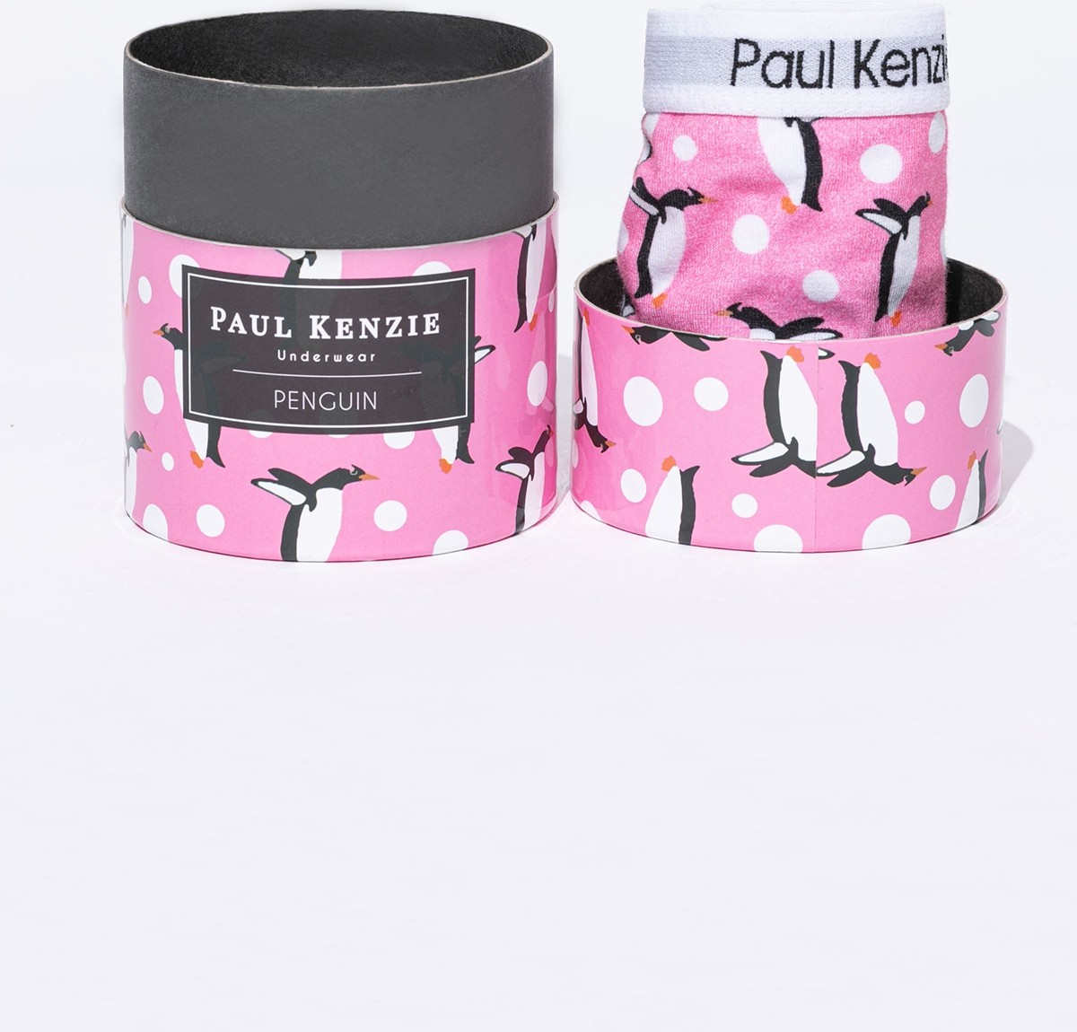 Paul Kenzie Unique Effect Desenli Kadın Slip Külot - Penguin görsel 2