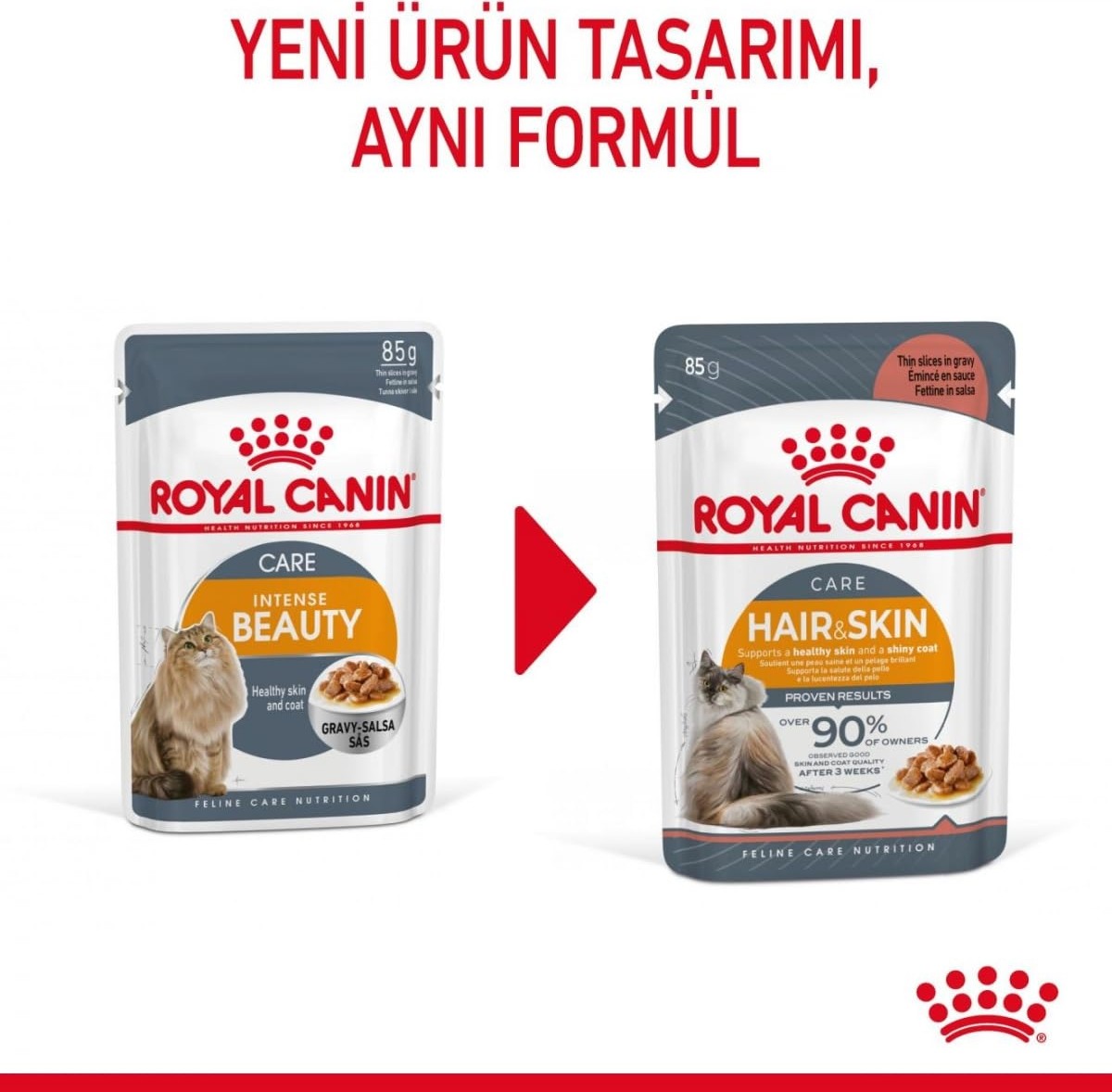 Aesco Royal Canin Hair & Skin Gravy Yetişkin Kedi Yaş Maması 12 x 85 gr görsel 4