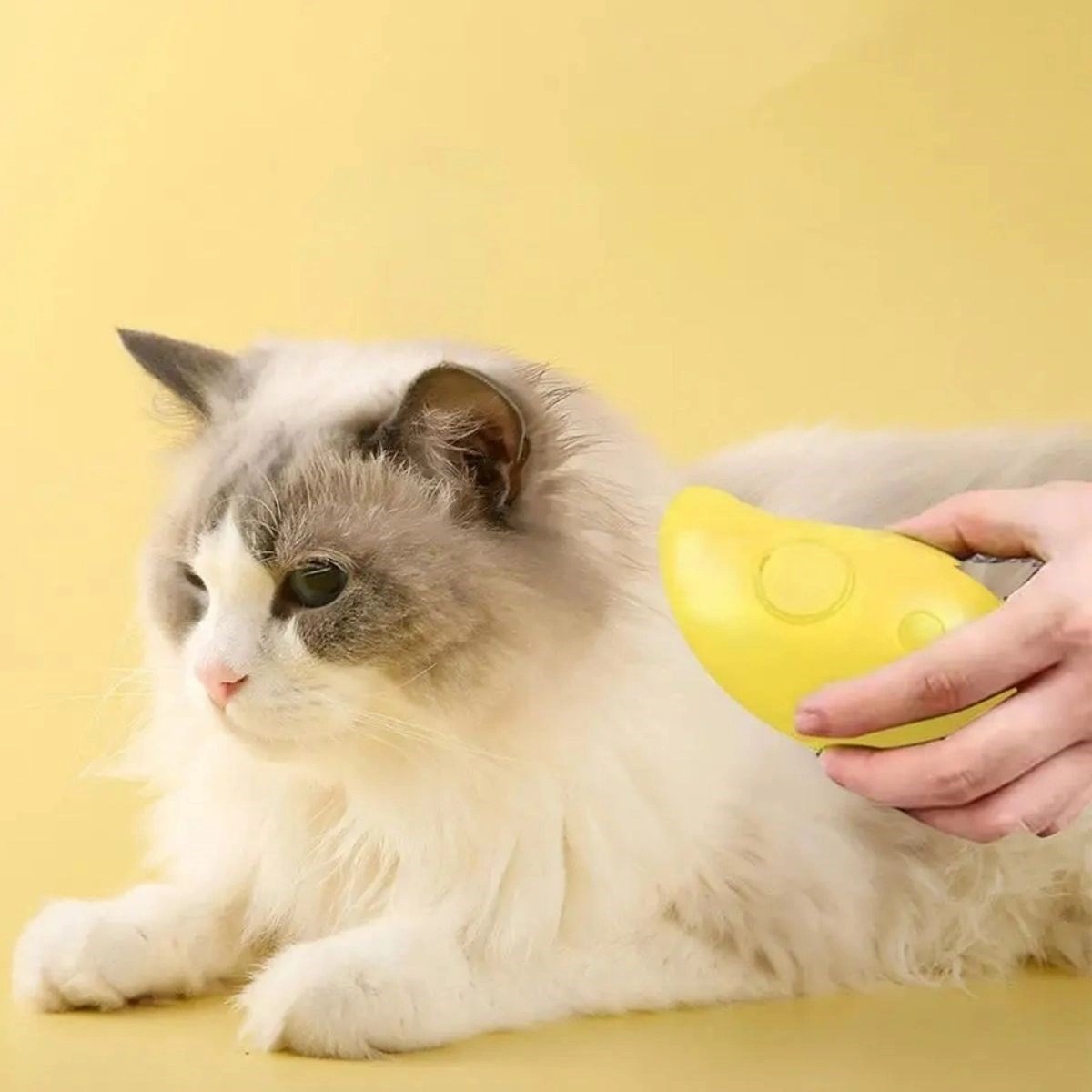 Uravas Store Buharlı Yumuşak Silikon Uçlu Kedi - Köpek Tüy Tarama Tarağı Yıkama Tımar Fırçası görsel 4