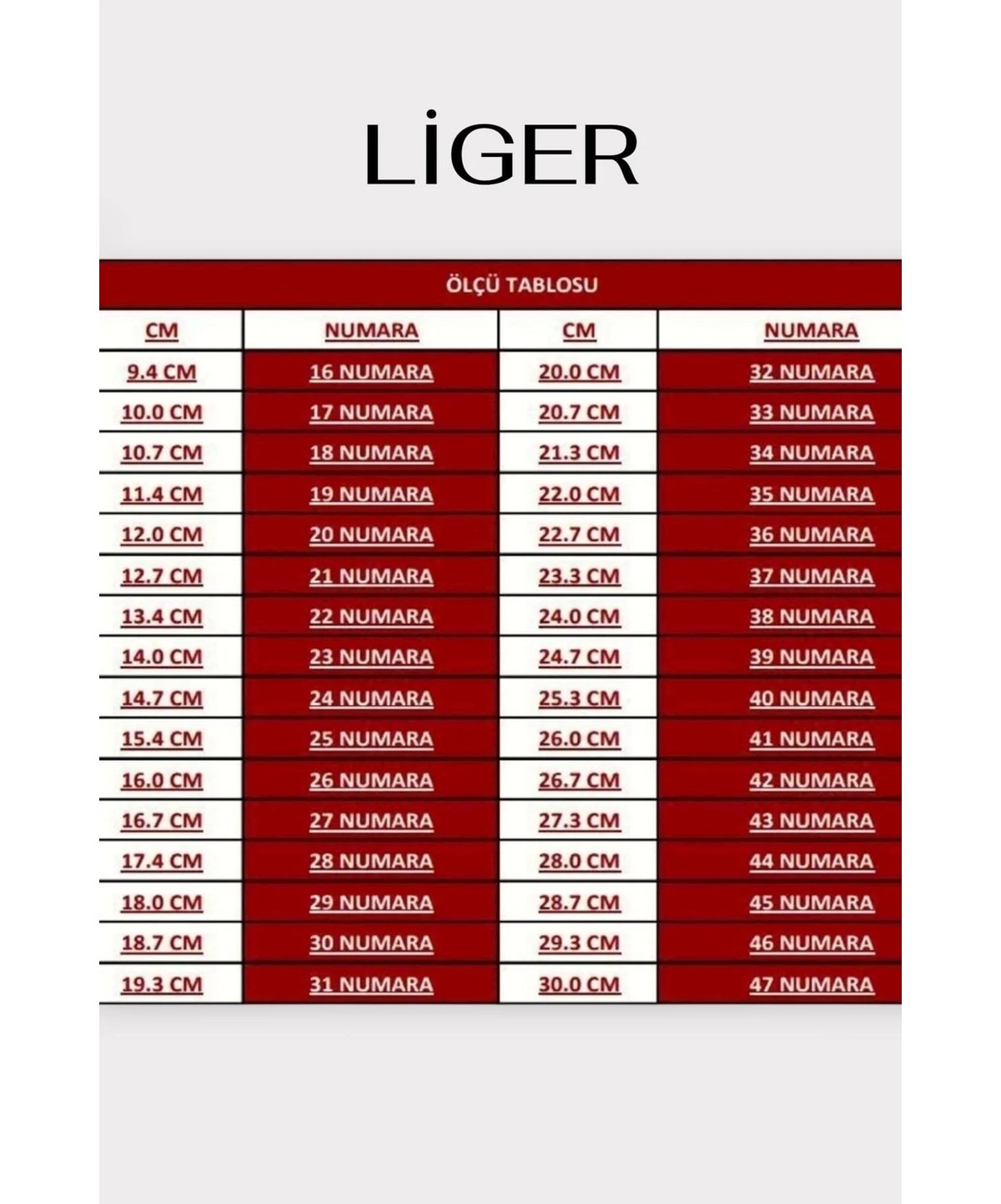 Liger Gold Tokalı Püsküllü Süet Kadın Günlük Loafer Ayakkabı Siyah görsel 6