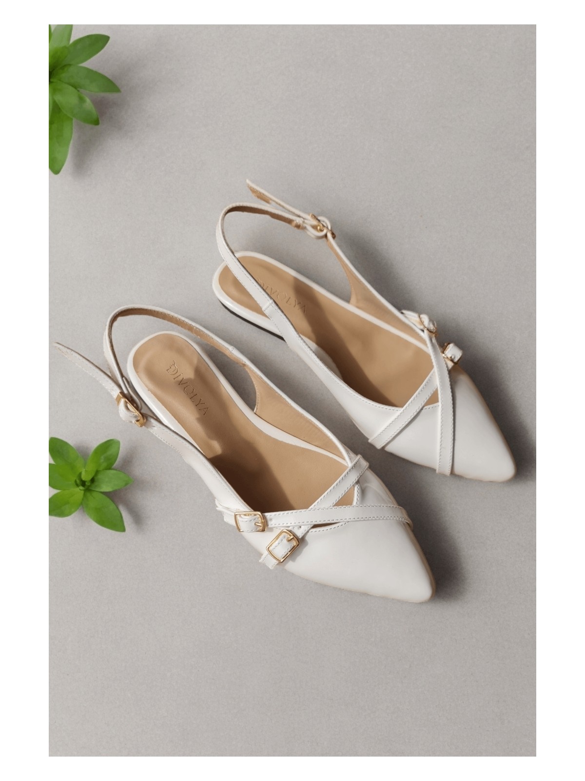 Divolya Pably Kahve Kırışık Rugan ( 2 cm Topuklu ) Sivri Burun Ayakkabı - Görsel 5