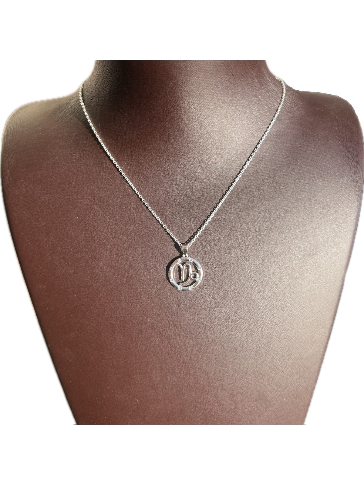 Ashak Accessories Kadın Oğlak Burcu 925 Ayar Gümüş Zincirli Swarovski Taşlı Capricorn Zodiac Sign Model Burç Kolye