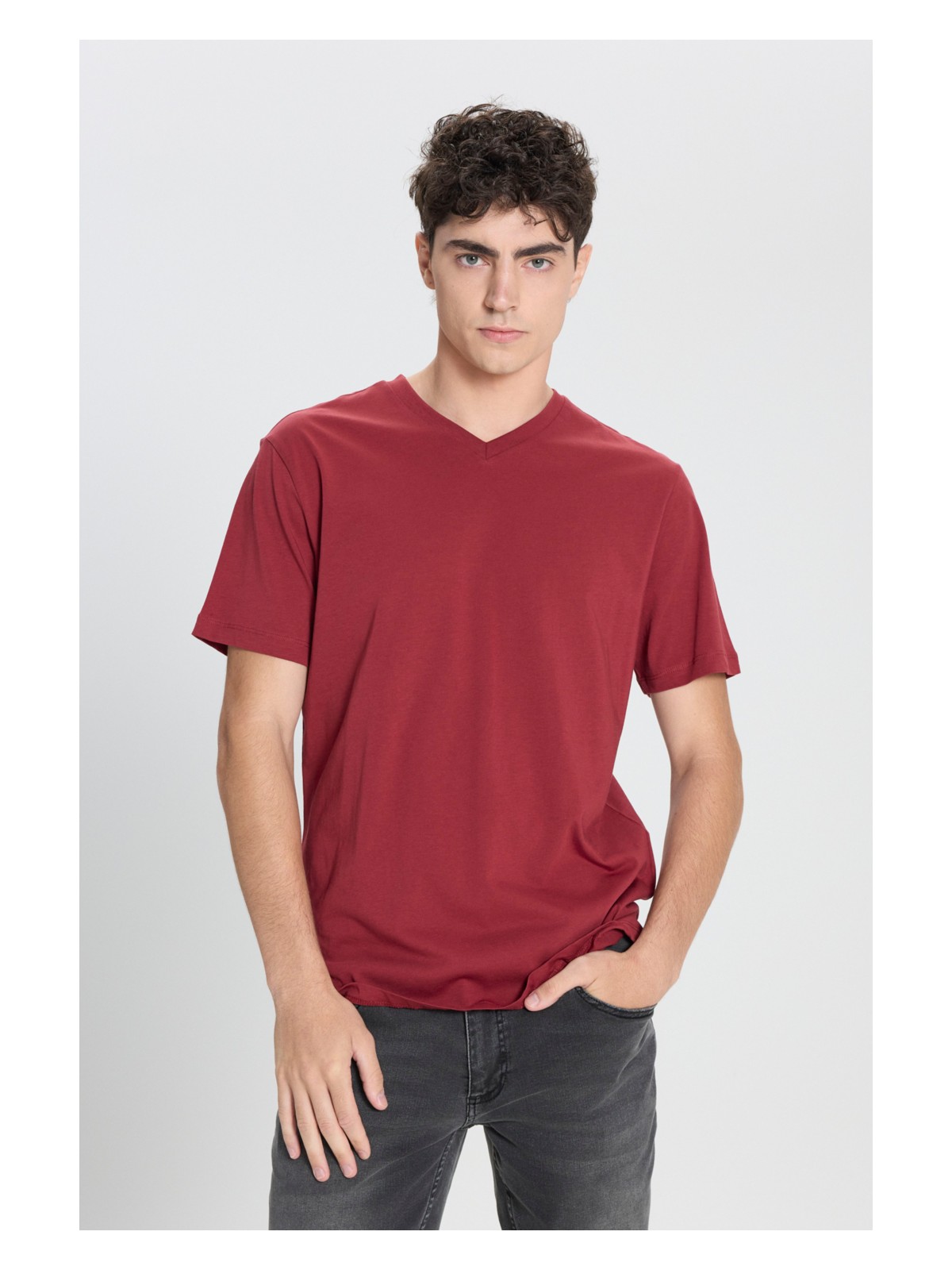 Altınyıldız Classics Erkek Siyah %100 Pamuk Slim Fit Dar Kesim V Yaka Tişört - Görsel 5