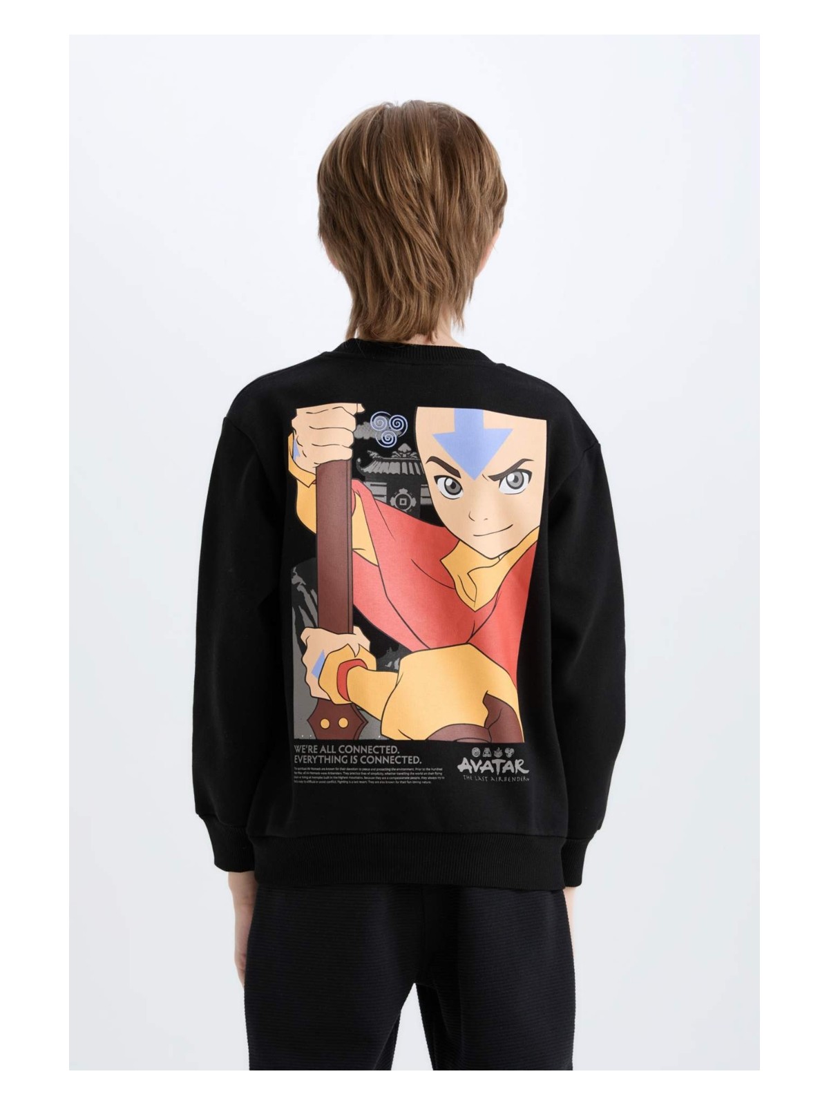 DeFacto Avatar the Last Airbender Bisiklet Yaka İçi Yumuşak Tüylü Sırt Baskılı Sweatshirt Erkek Çocuk D6742A824WN