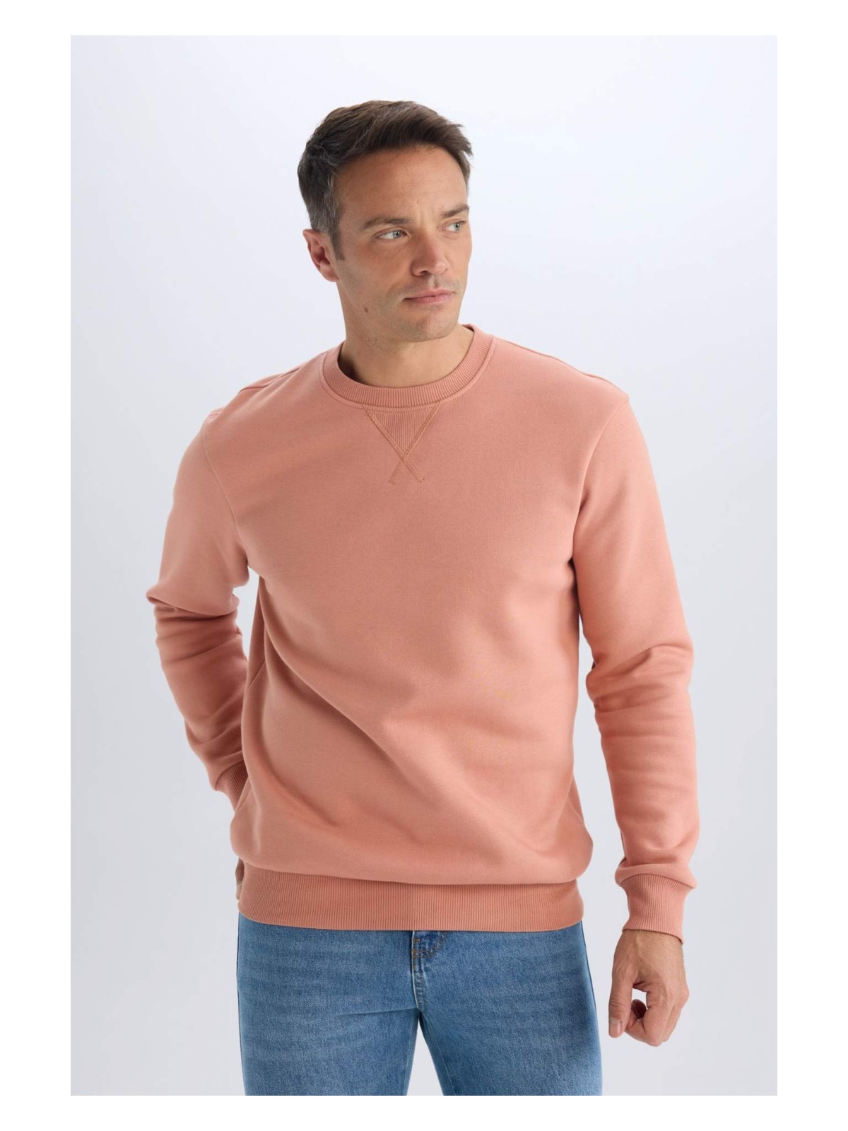 DeFacto Regular Fit Bisiklet Yaka Kalın Basic Düz Sweatshirt T3777AZ25SP - Görsel 3