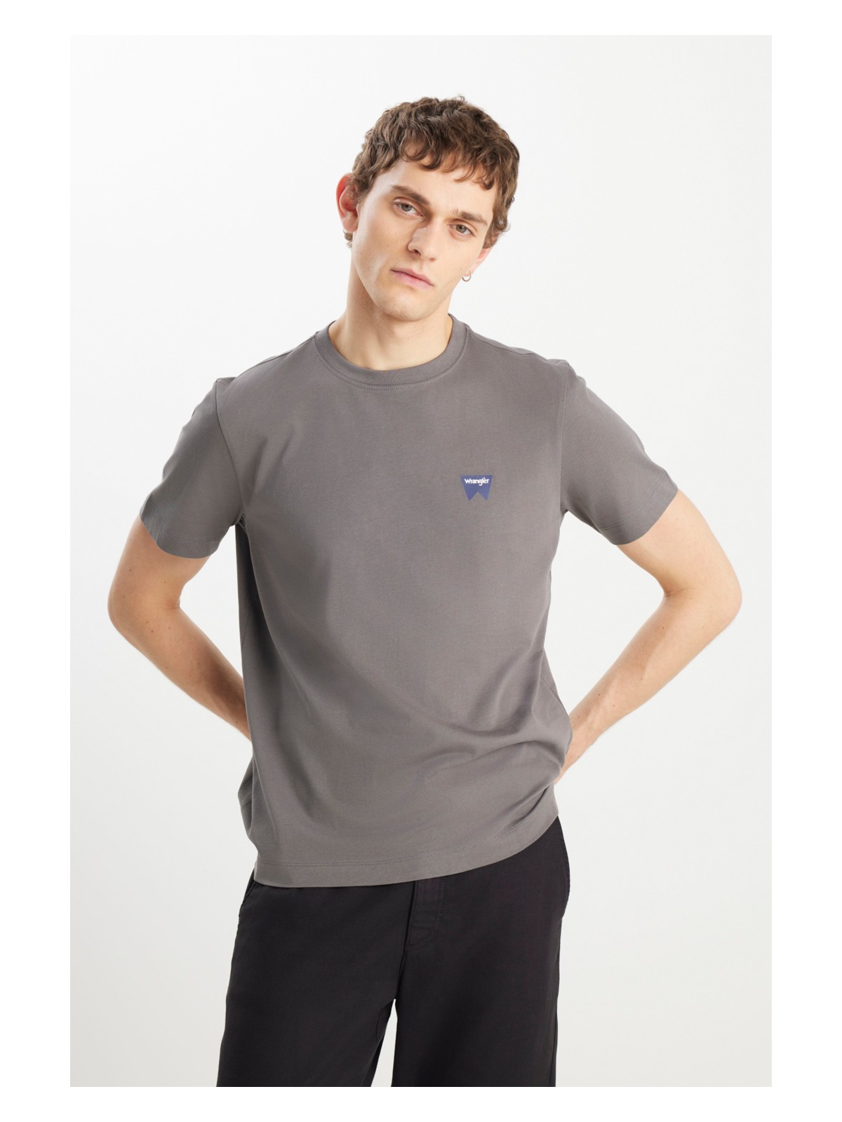 Wrangler %100 Pamuk Regular Fit Normal Kesim Minimal Logo Siyah Tişört - Görsel 4