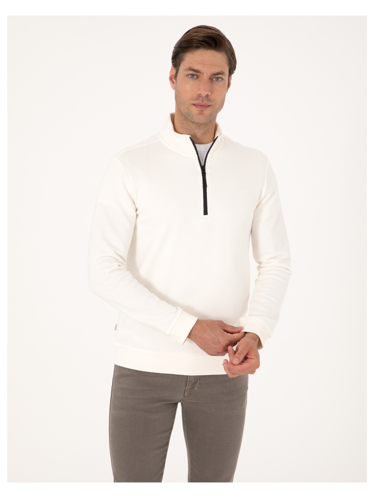 Pierre Cardin Erkek Lacivert 3 Iplik Regular Fit Fermuarlı Dik Yaka Basic Sweatshirt 50314044-VR033 - Görsel 4