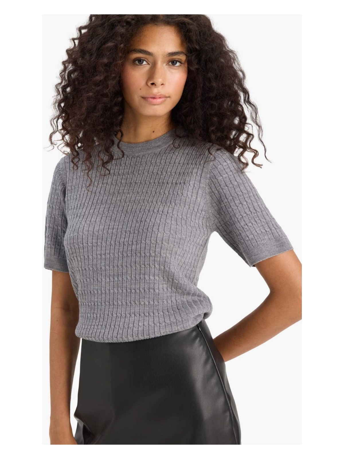 DeFacto Regular Fit Bisiklet Yaka Kısa Kollu Triko Kazak D3306AX25AU