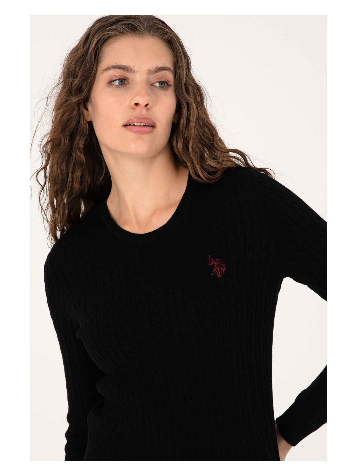 U.S. Polo Assn. Kadın Siyah Bisiklet Yaka Basic Kazak 50313626-VR046 - Görsel 2