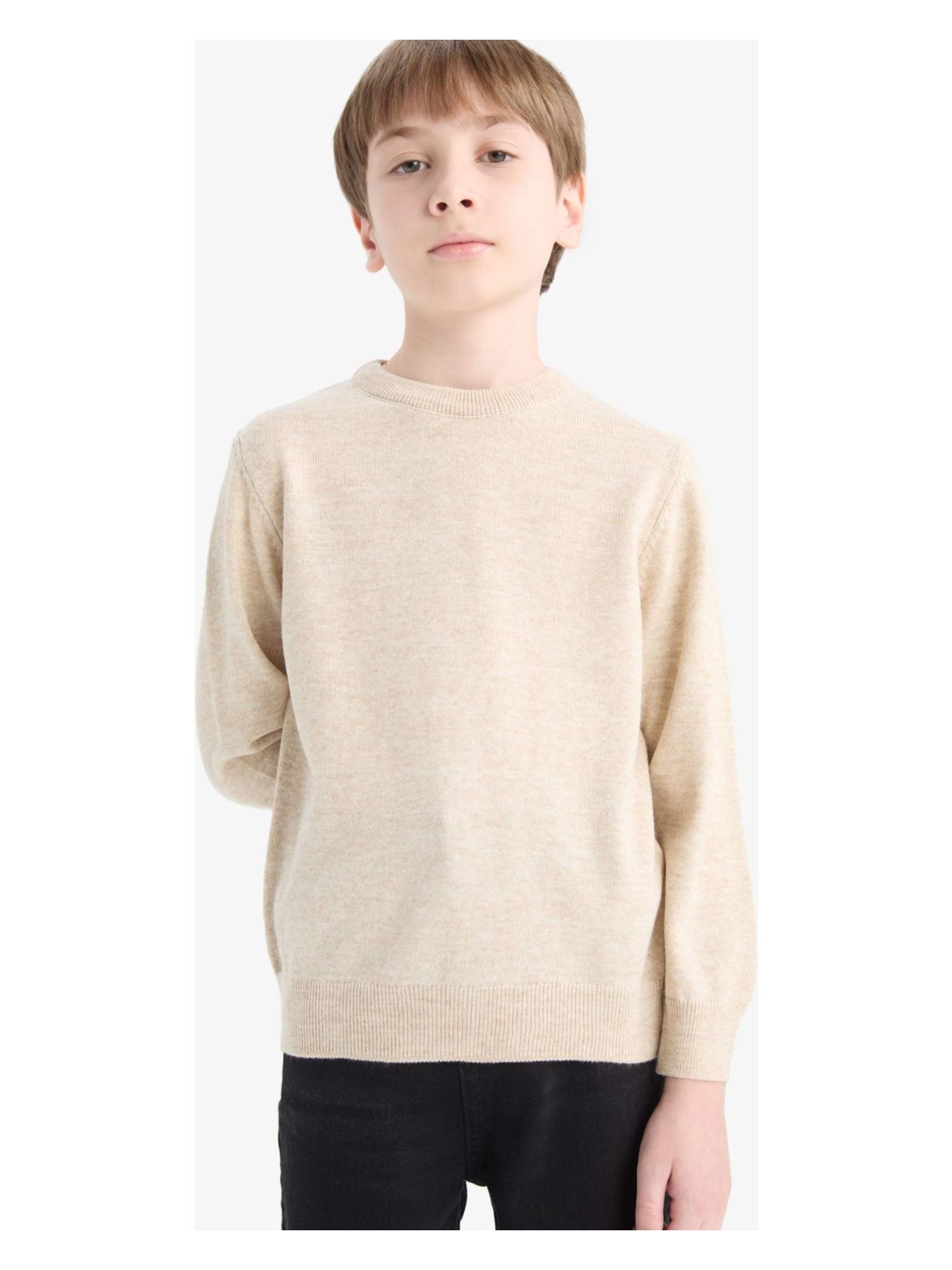 DeFacto Bisiklet Yaka Triko Kazak Erkek Çocuk A4992A825WN