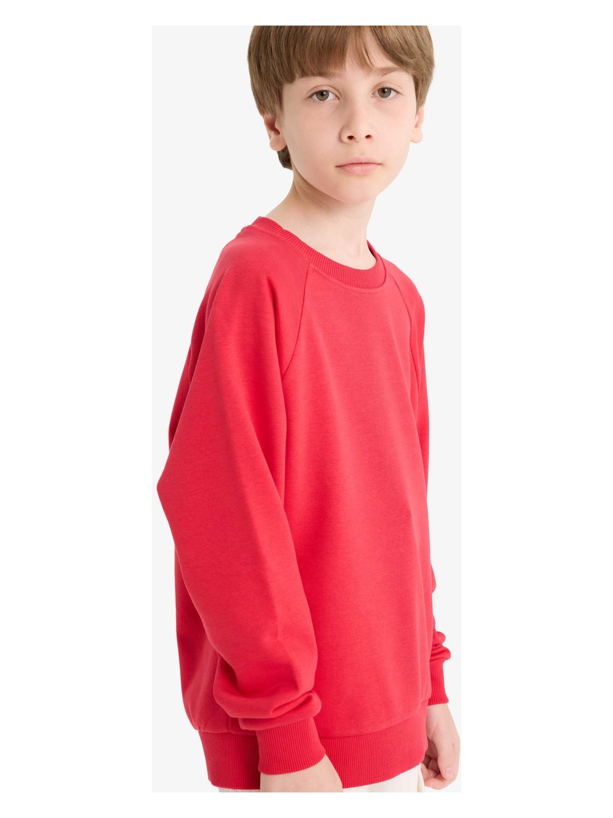 DeFacto Bisiklet Yaka Basic Düz Okul Sweatshirt Erkek Çocuk E8415A825AU - Görsel 6