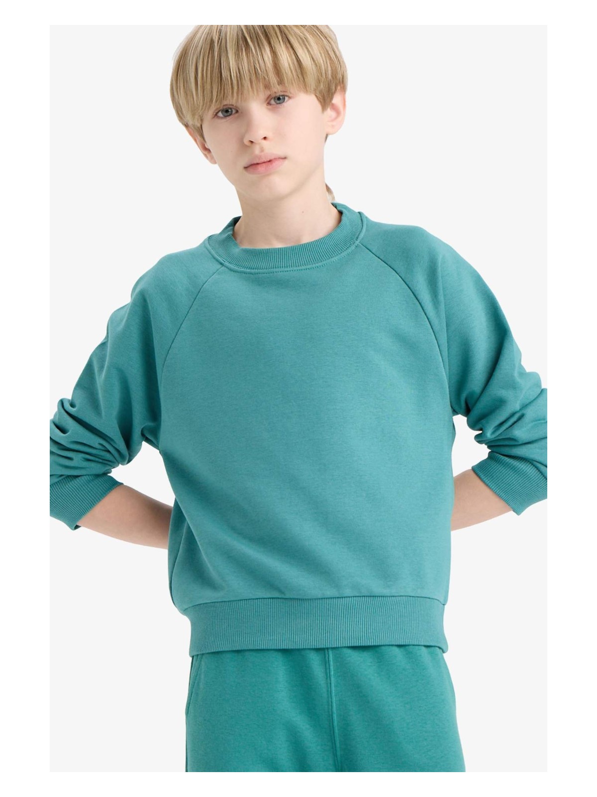 DeFacto Bisiklet Yaka Basic Düz Okul Sweatshirt Erkek Çocuk E8415A825AU - Görsel 8