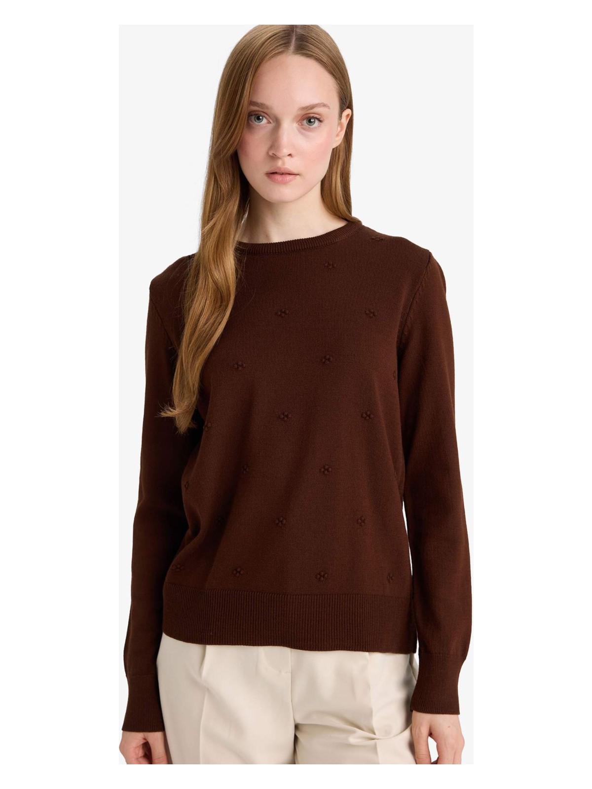 DeFacto Regular Fit Bisiklet Yaka Triko Kazak F4084AX25WN - Görsel 5